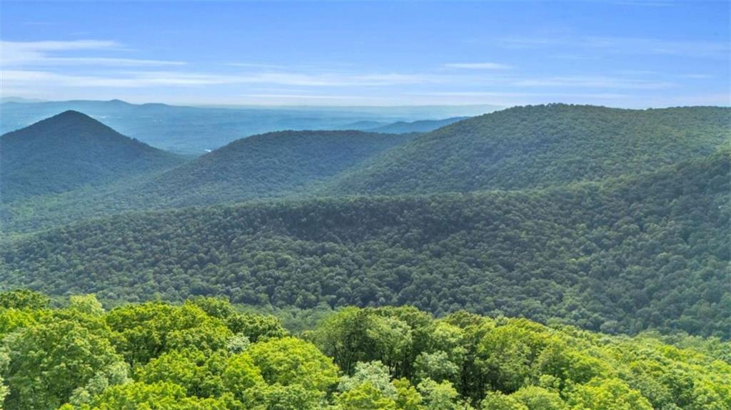 191 Rimrock Road Jasper, GA 30143 - Photo 49 of 56