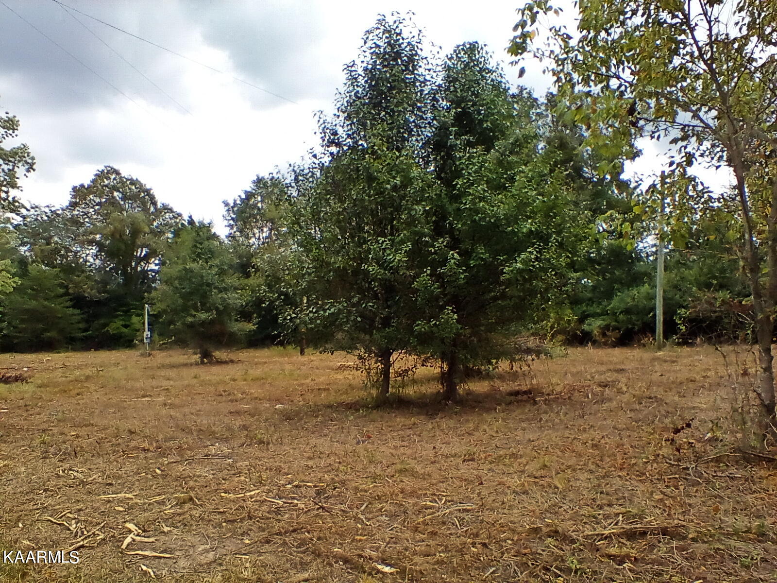 4936 Pea Ridge Road Maryville, TN 37804 - Photo 21 of 25 Some wooded areas