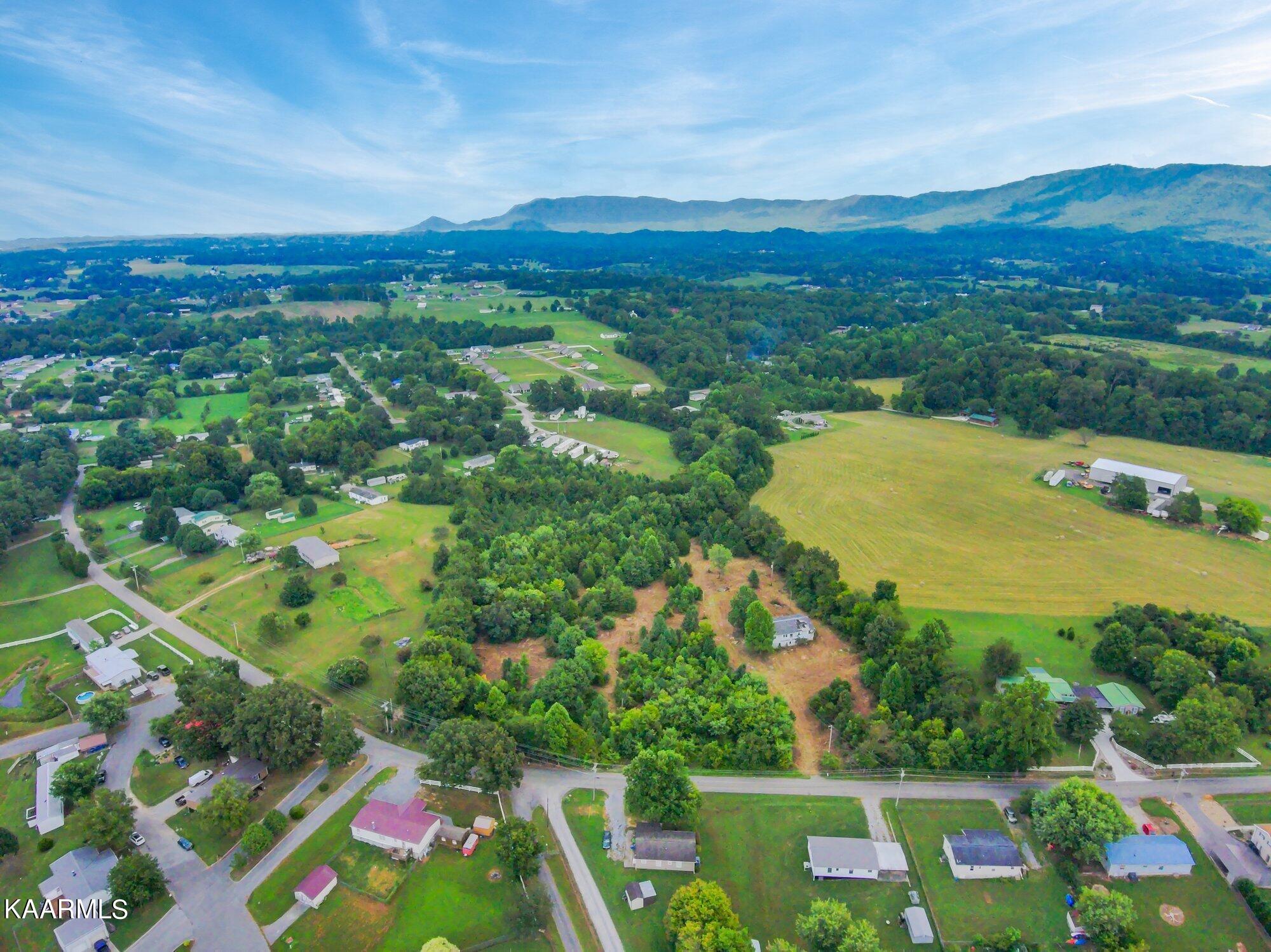 4936 Pea Ridge Road Maryville, TN 37804 - Photo 8 of 25 Country Setting