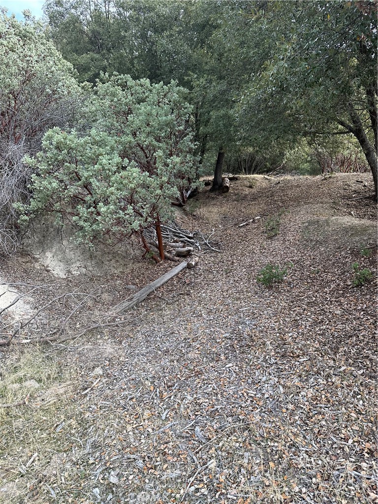 2334 Parmabelle Road Mariposa, CA 95338 - Photo 1 of 1 a view of a yard with a tree