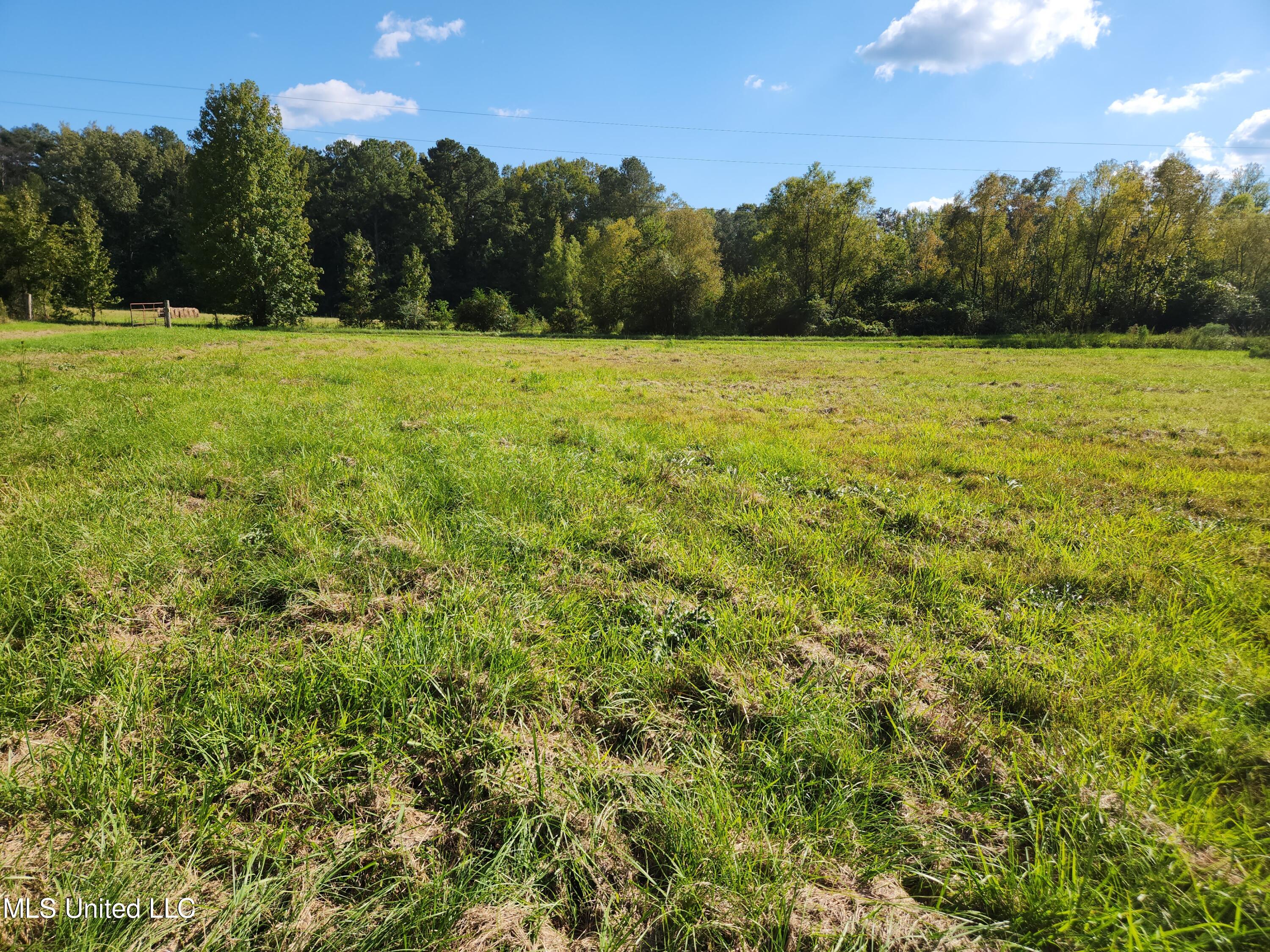 118 Meadow Woods Florence, MS 39073 - Photo 12 of 33 YARD