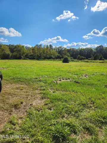 $49,000 | 118 Meadow Woods, Florence, MS 39073