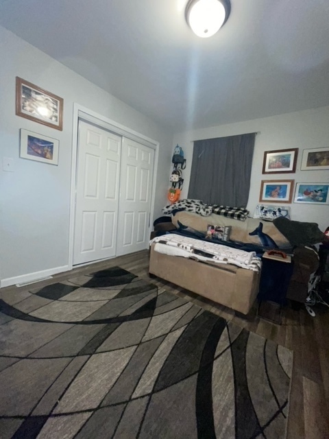 313 East 2nd Street Spring Valley, IL 61362 - Photo 5 of 16