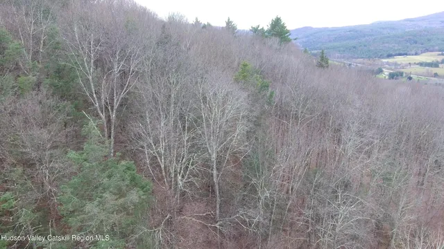 a view of a dry yard with wooden fence