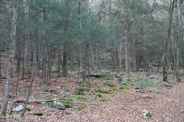 a view of a yard with trees