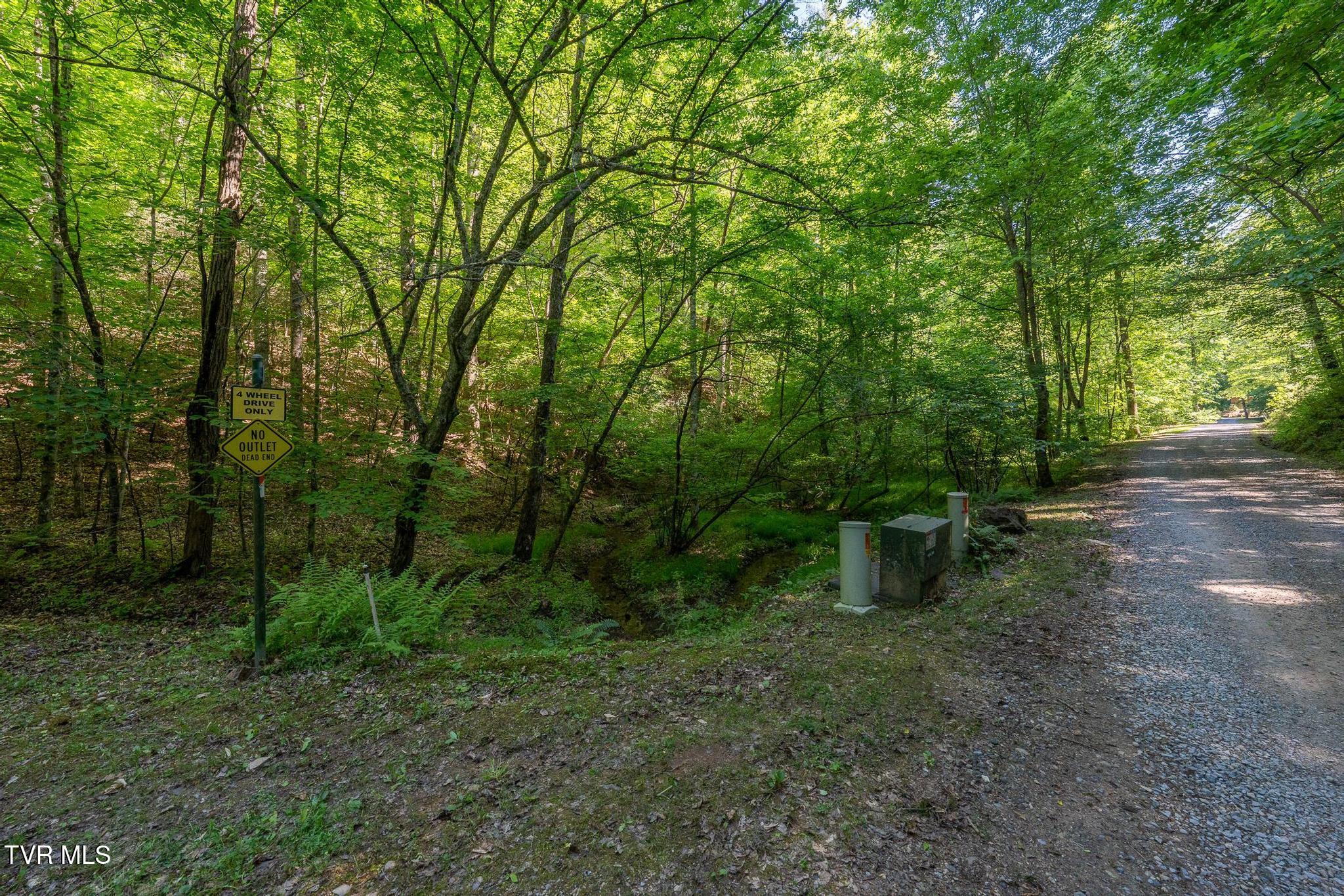 Tbd Canaan Road Butler, TN 37640 - Photo 6 of 24 TBD Canaan Road (28 of 39)
