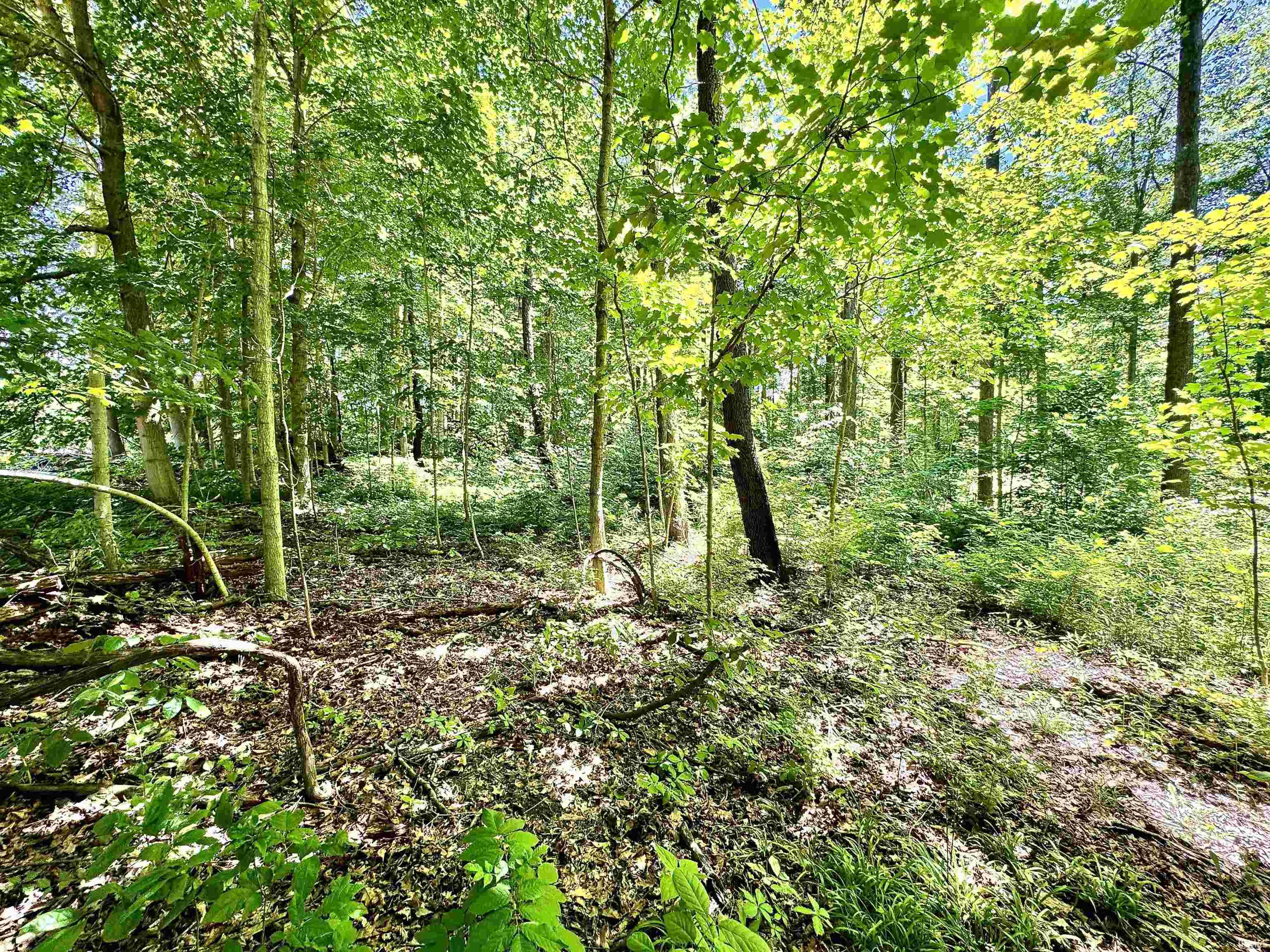 South Riverview Riverview Road Peru, IN 46970 - Photo 11 of 22