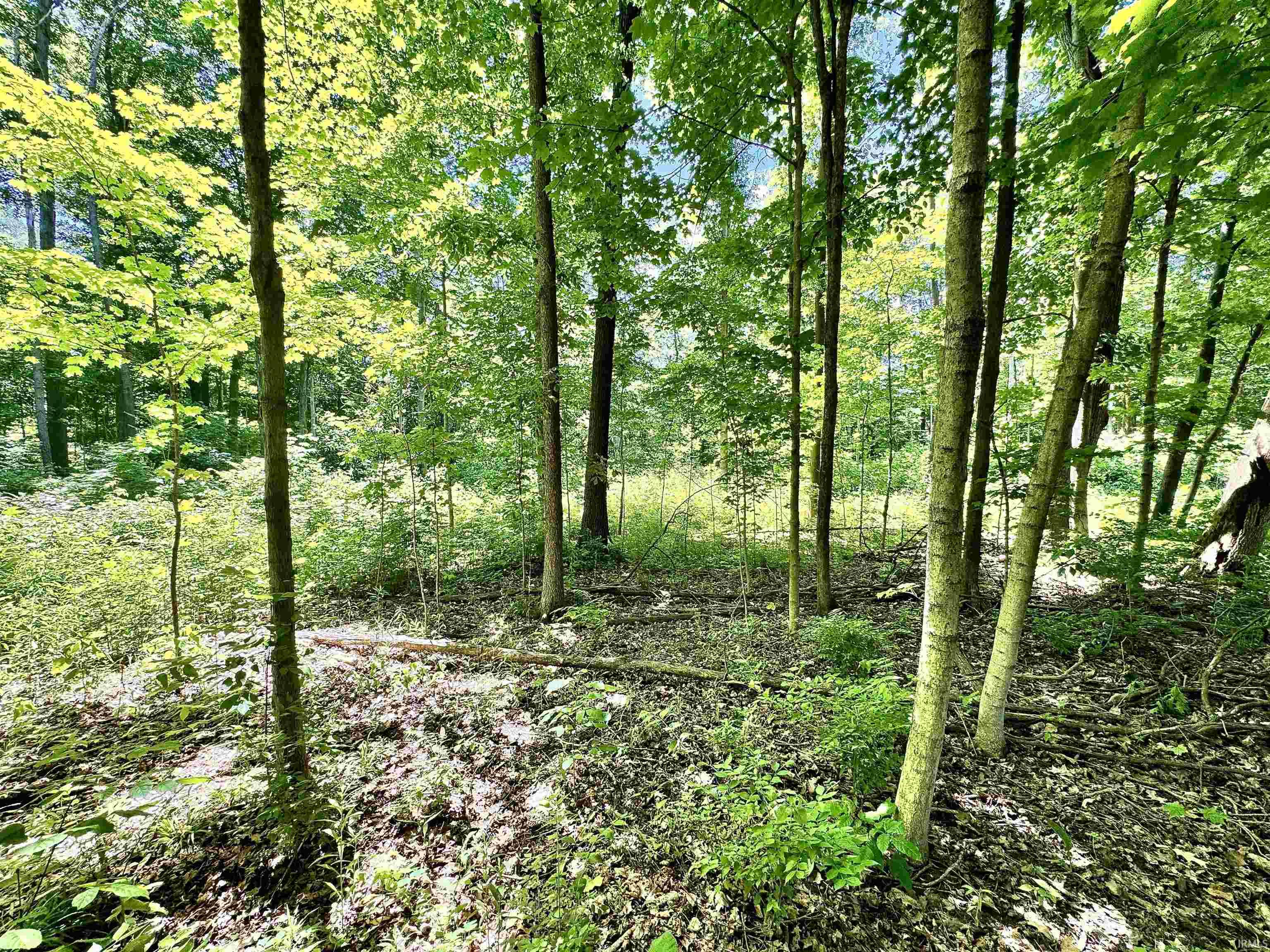 South Riverview Riverview Road Peru, IN 46970 - Photo 12 of 22