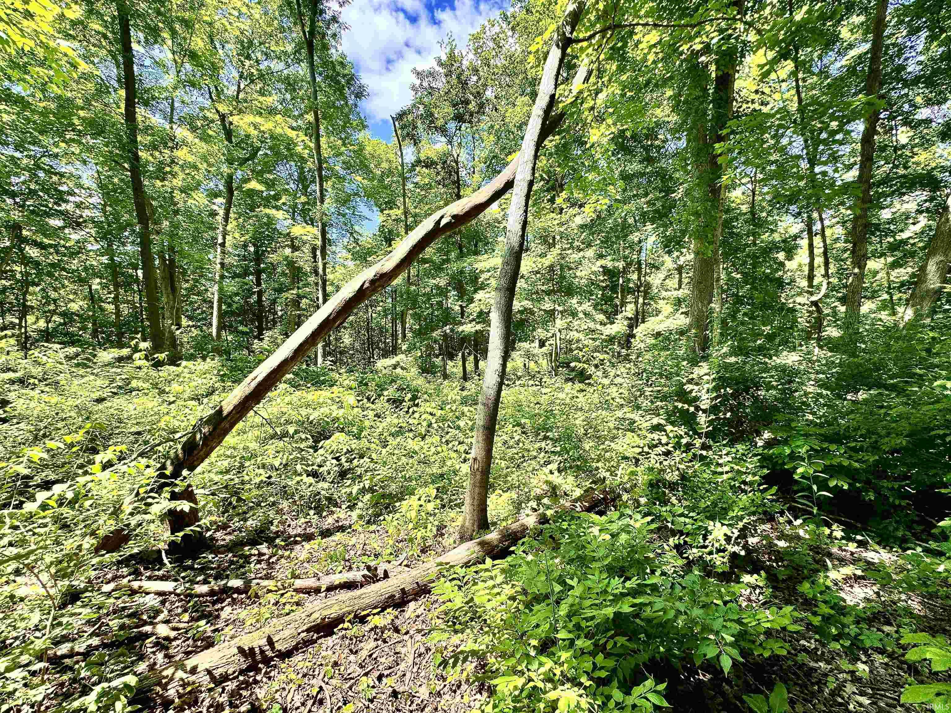 South Riverview Riverview Road Peru, IN 46970 - Photo 15 of 22