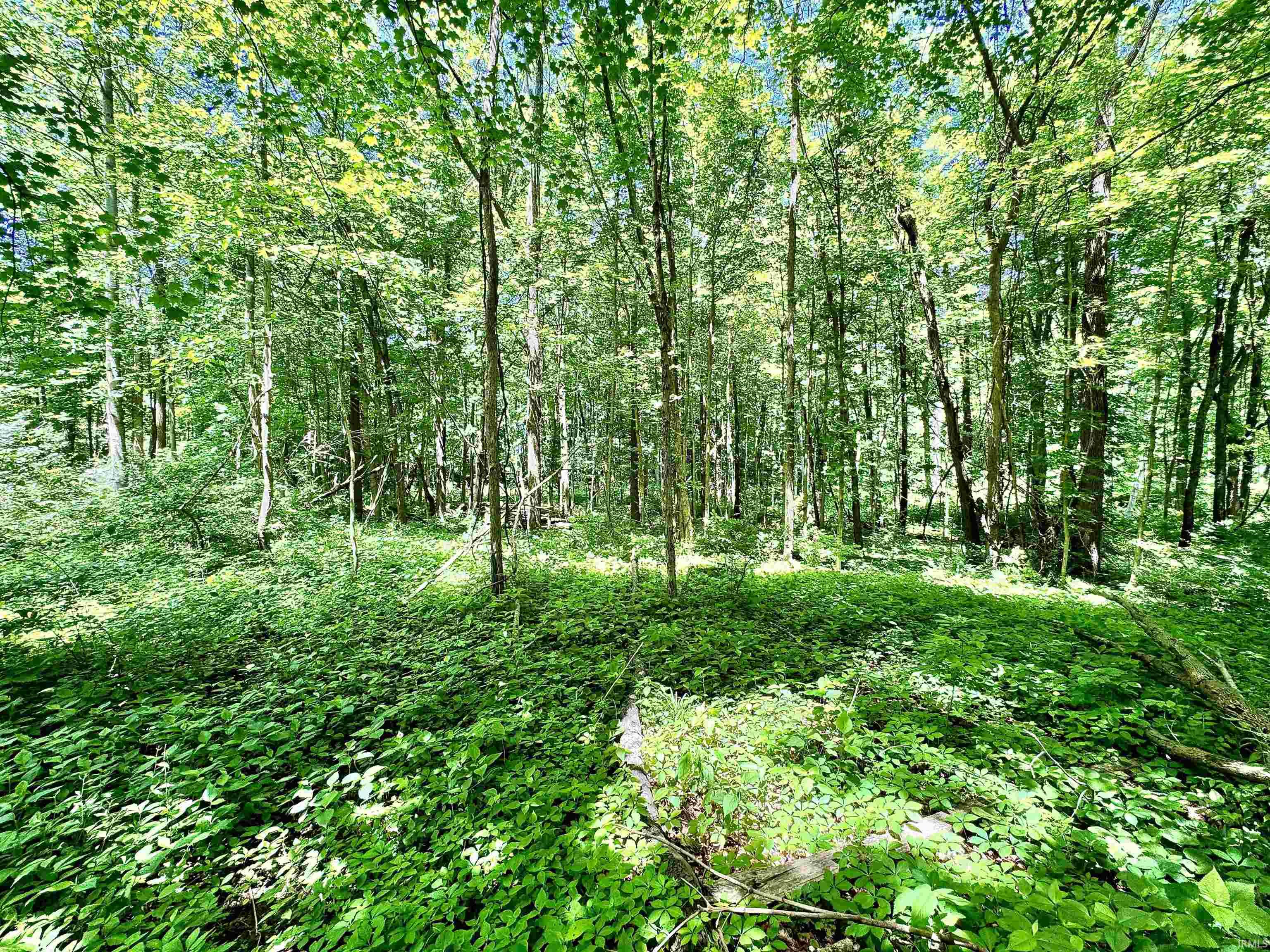 South Riverview Riverview Road Peru, IN 46970 - Photo 19 of 22