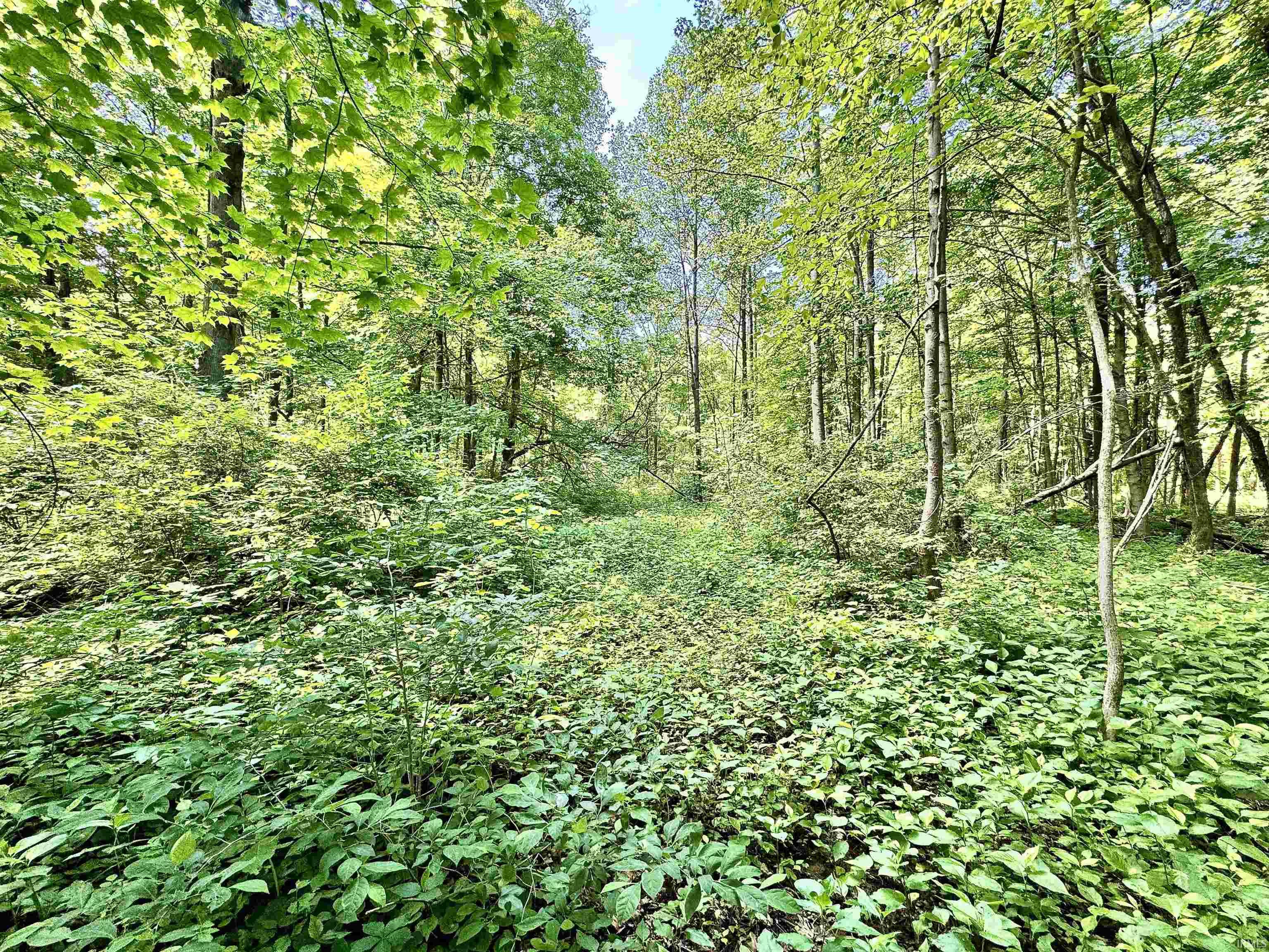 South Riverview Riverview Road Peru, IN 46970 - Photo 20 of 22