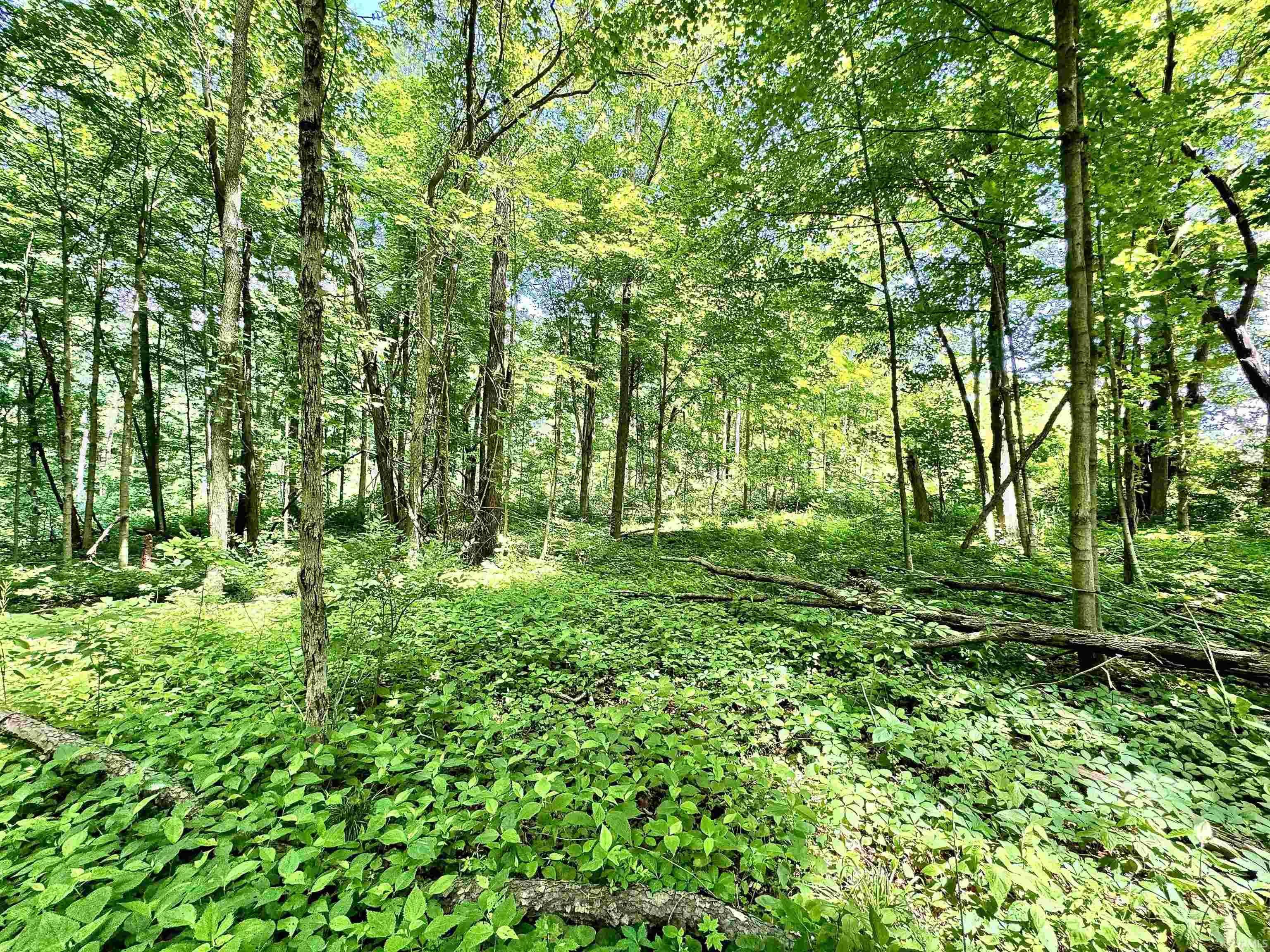 South Riverview Riverview Road Peru, IN 46970 - Photo 2 of 22