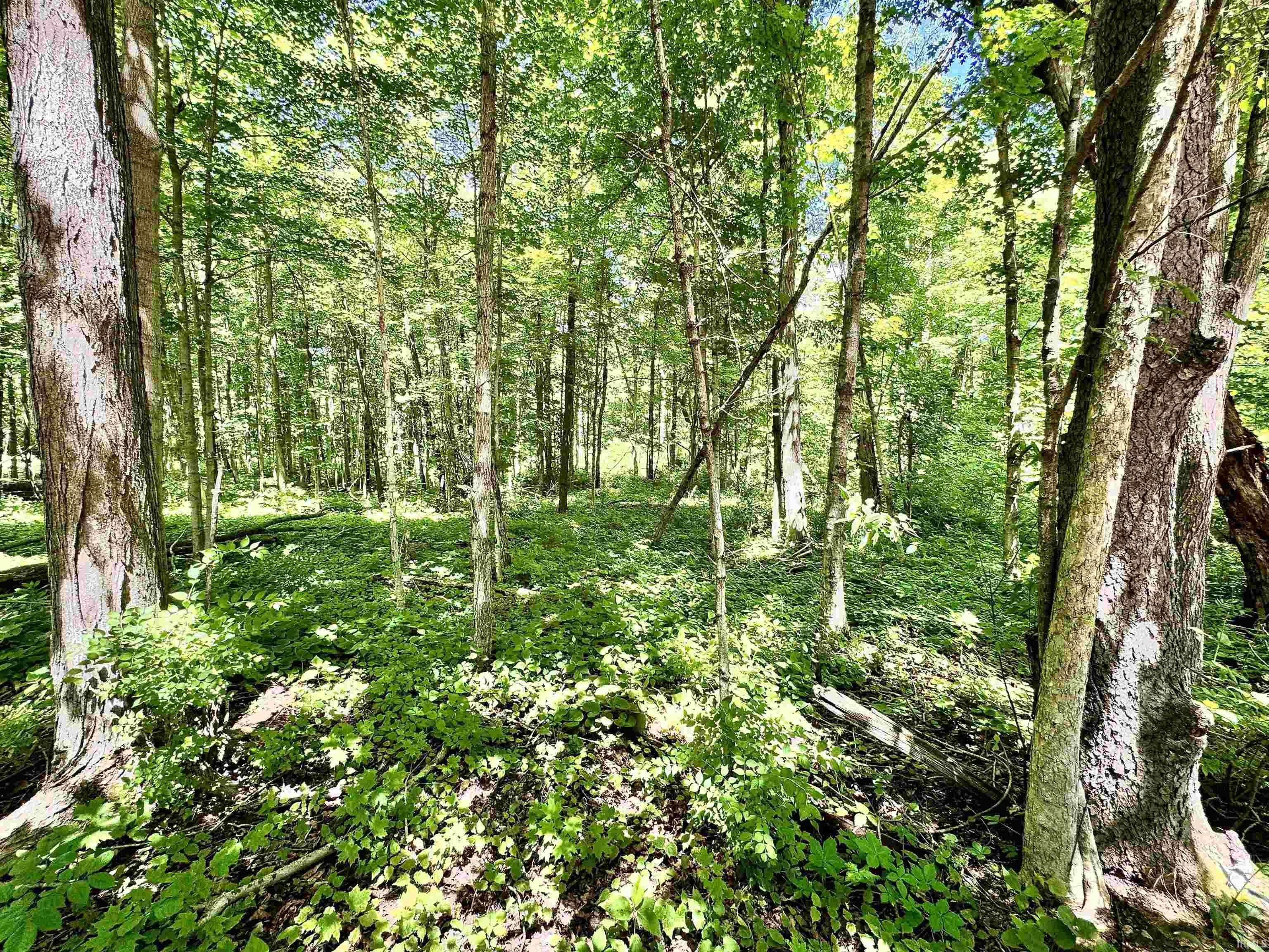 South Riverview Riverview Road Peru, IN 46970 - Photo 3 of 22