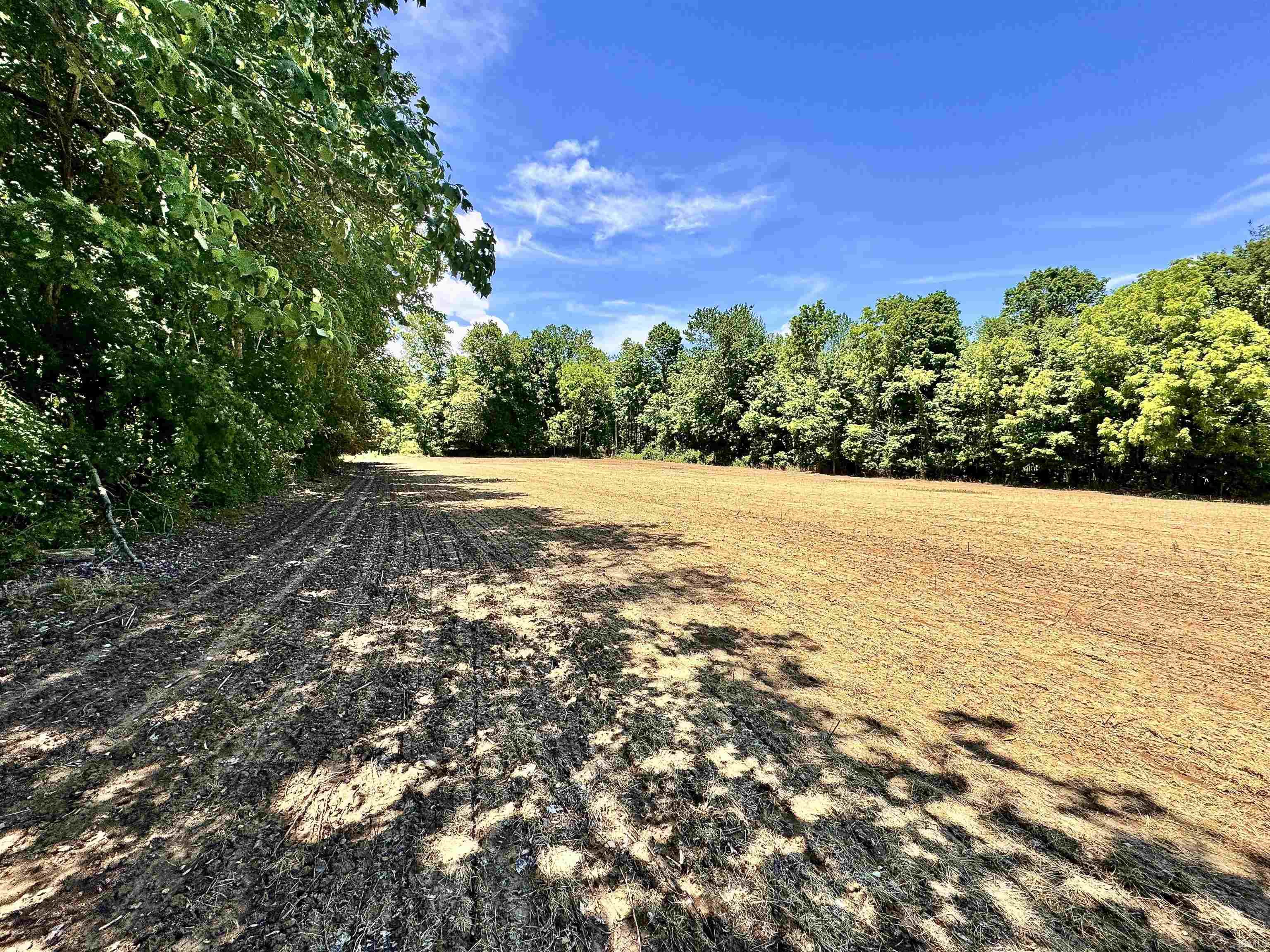 South Riverview Riverview Road Peru, IN 46970 - Photo 4 of 22