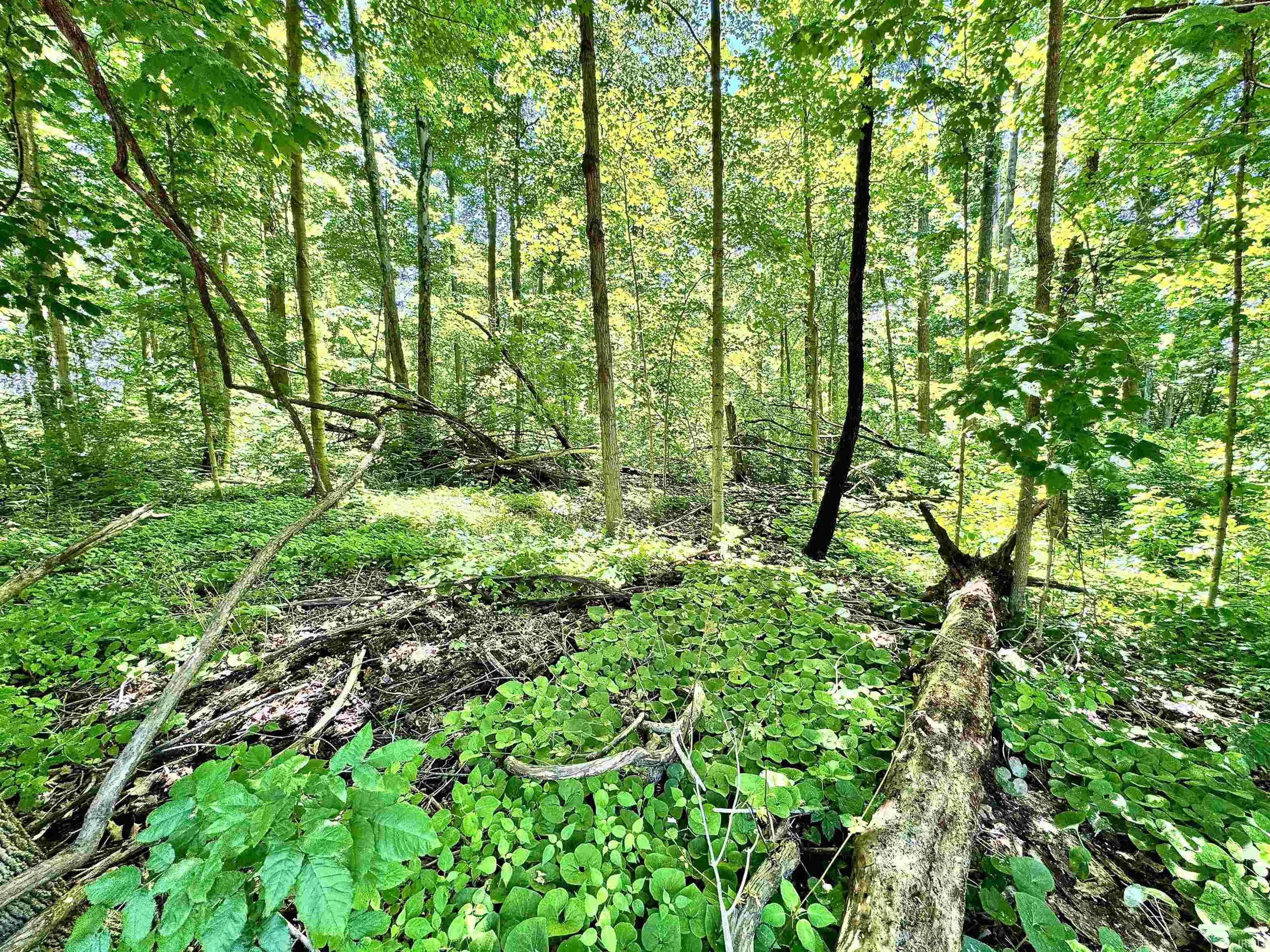 South Riverview Riverview Road Peru, IN 46970 - Photo 10 of 22