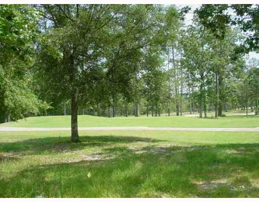 30988 Carter Cemetery Road Springfield, LA 70462 - Photo 9 of 10