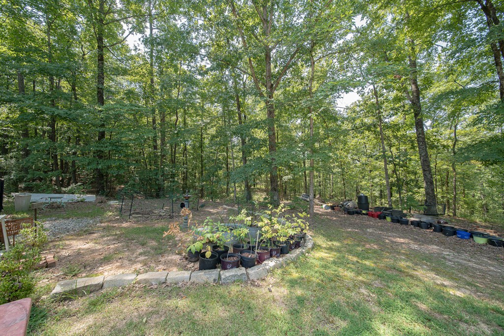 4100-7 Almond Road Fortson, GA 31808 - Photo 9 of 56 Gallery Image 9