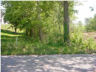 0 Teems Road Ringgold, GA 30739 - Photo 1 of 1 Primary Photo