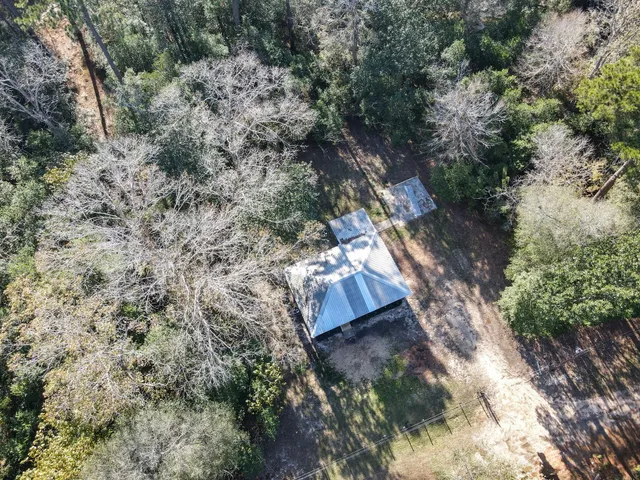 a view of a yard with plants
