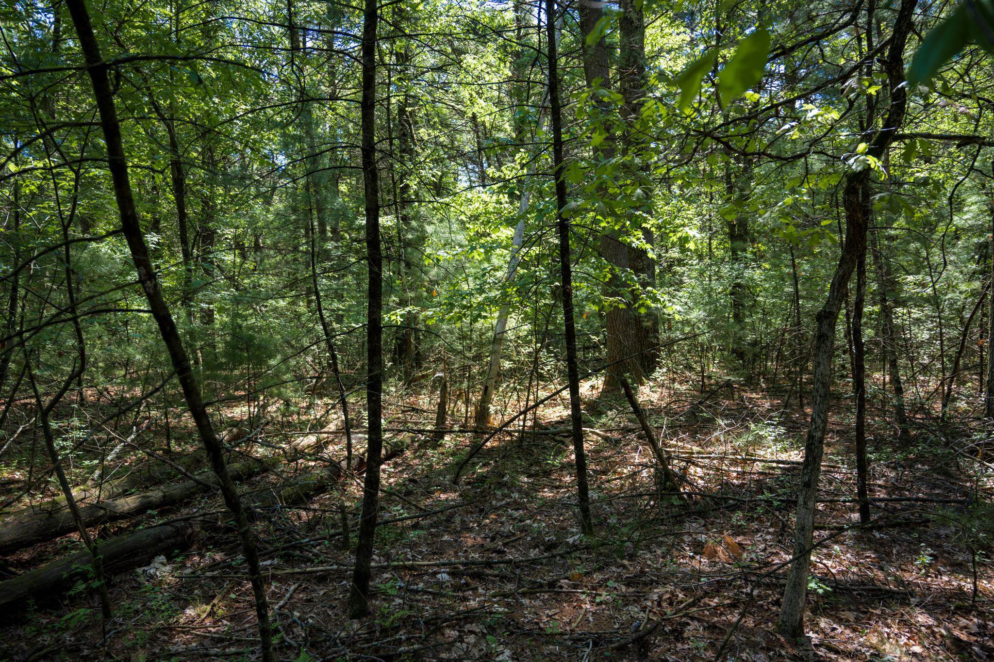 Lot 132 19th Arkdale, WI 54613 - Photo 8 of 27