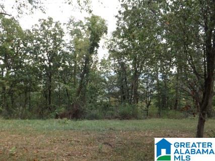 8455 Pine Mountain Road Springville, AL 35146 - Photo 4 of 39 Gallery Image 4