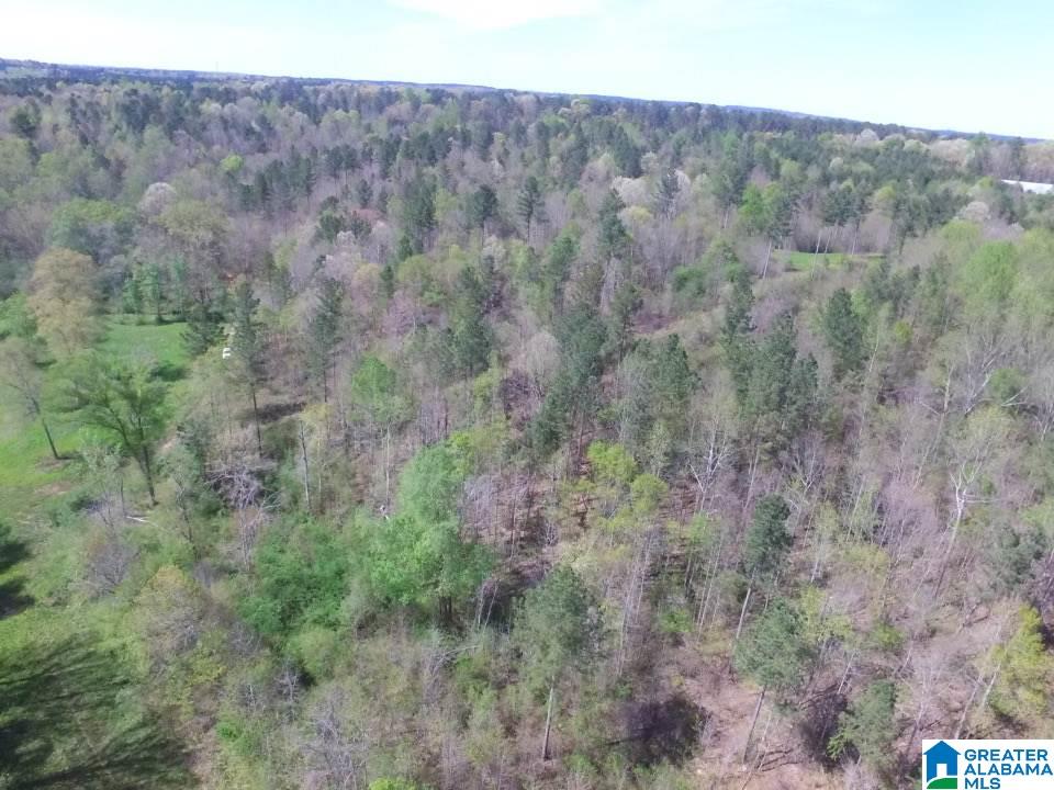 0 County Road 60, Unit 1 Heflin, AL 36264 - Photo 9 of 14