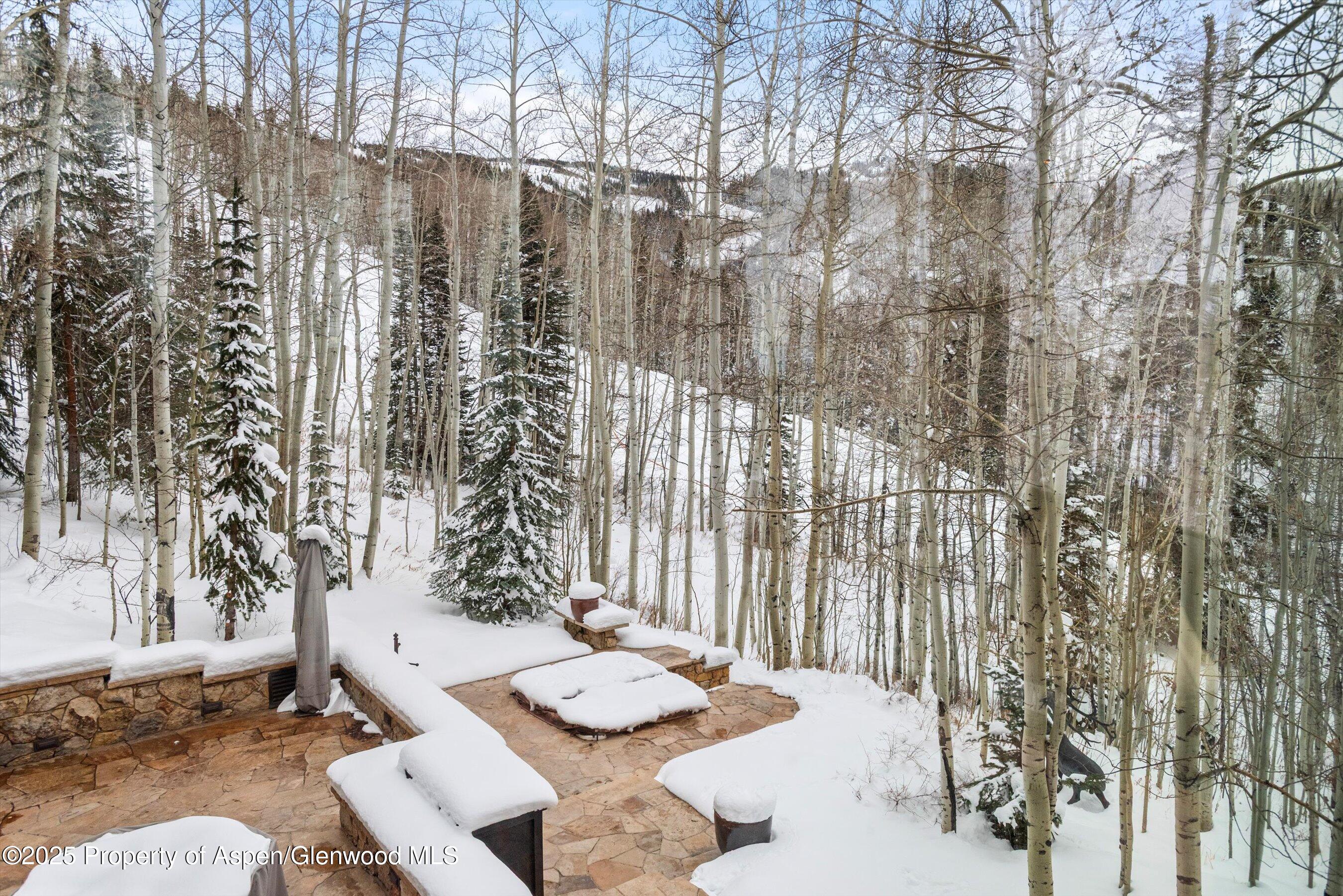 1777 Wood Road Snowmass Village, CO 81615 - Photo 23 of 27 a close view of light