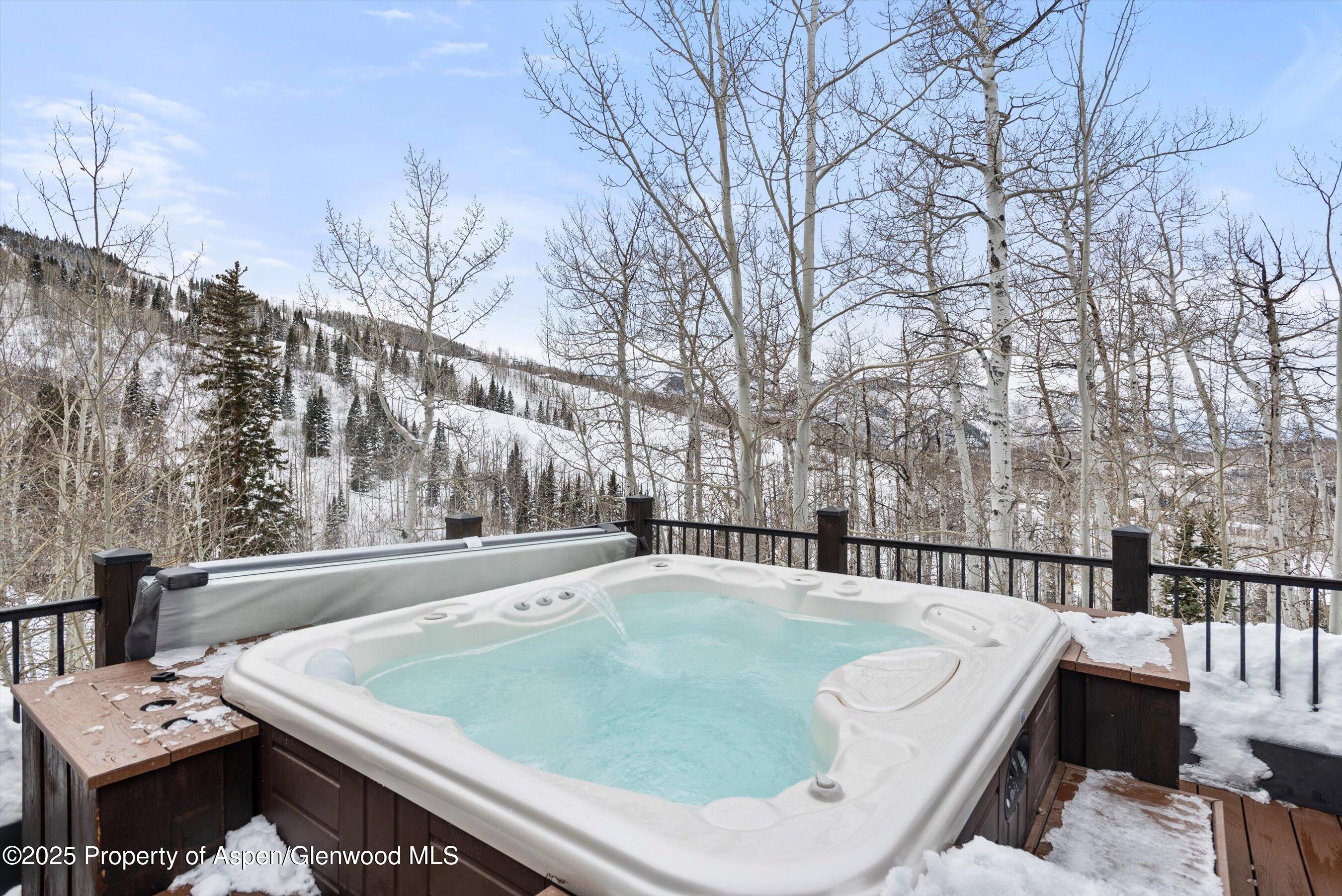 1777 Wood Road Snowmass Village, CO 81615 - Photo 25 of 28 24-1777WoodRd_251209023