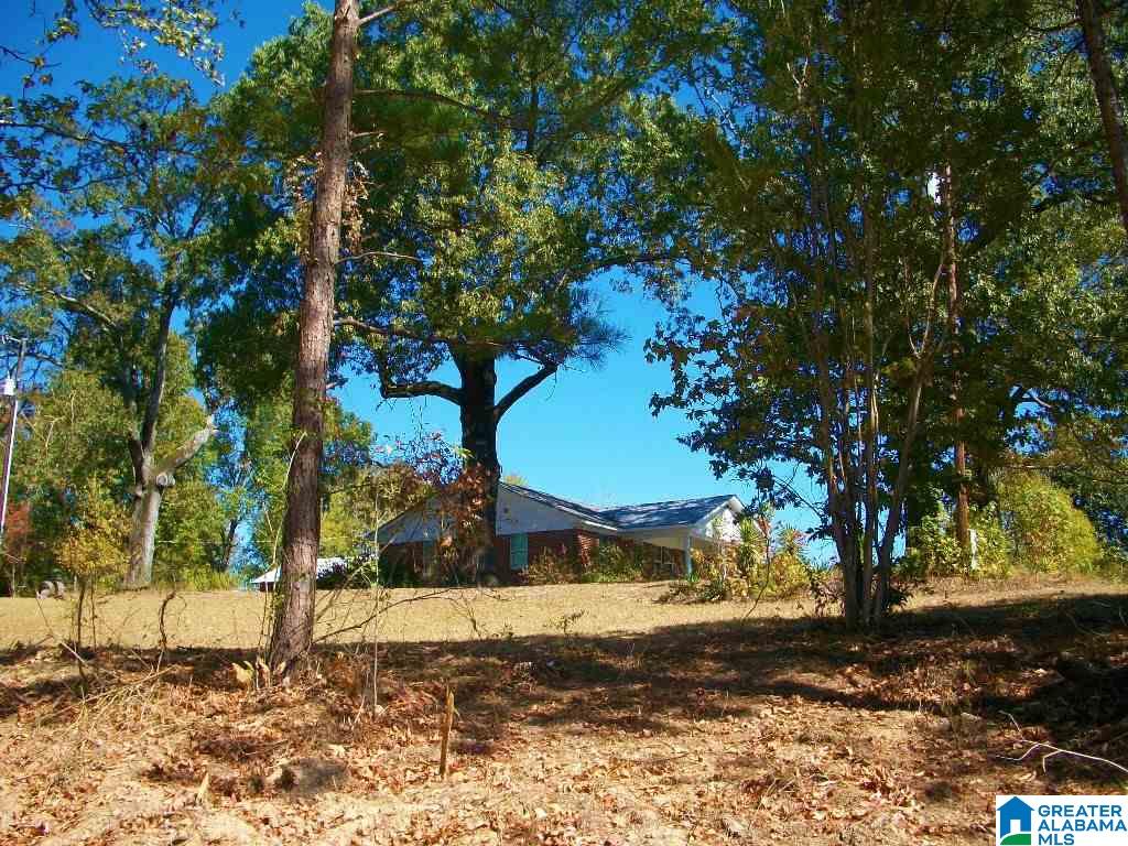 205 Gessler Drive Ohatchee, AL 36271 - Photo 44 of 50