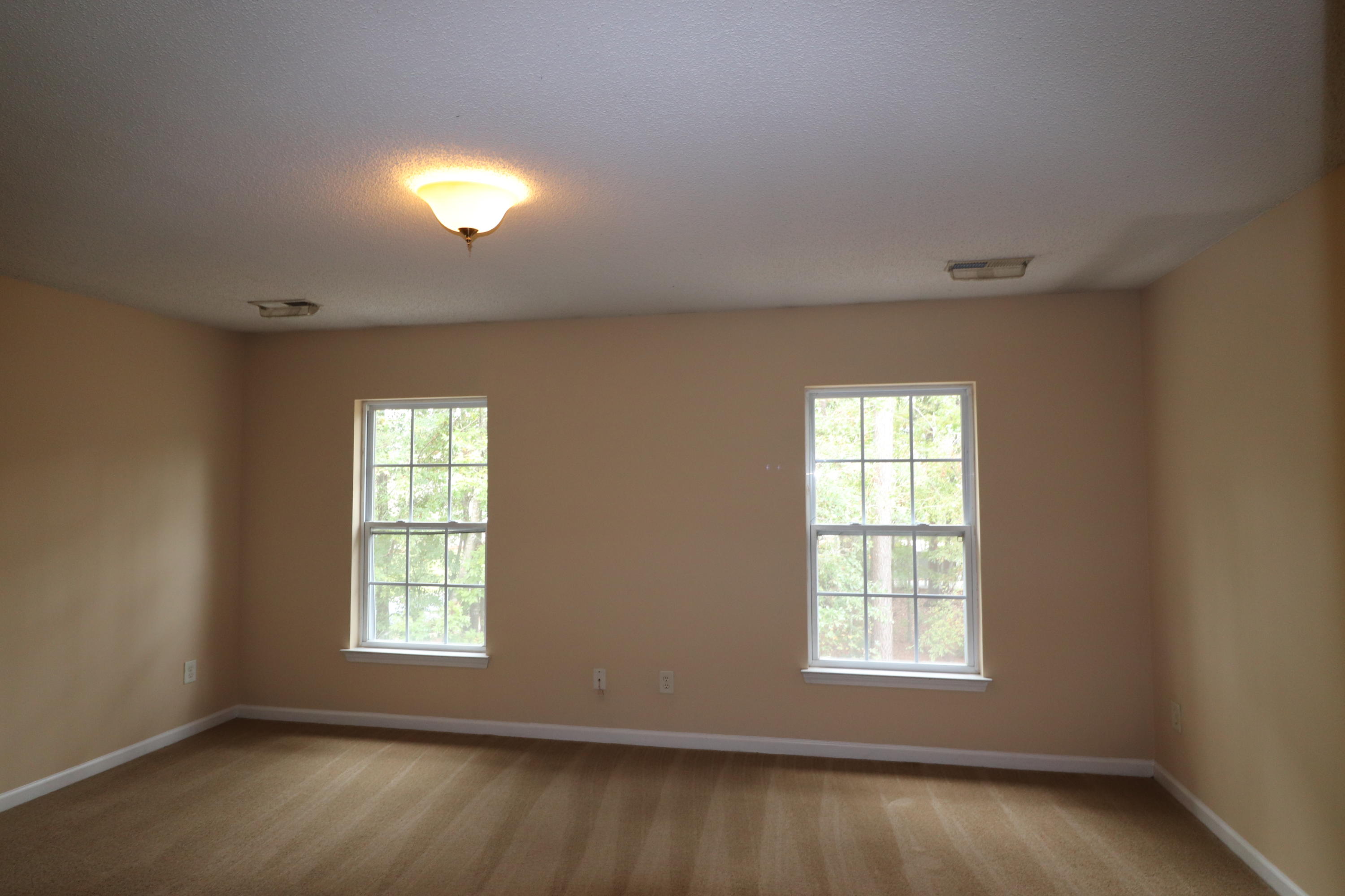285 Brookshire Road Goose Creek, SC 29445 - Photo 12 of 23 IMG_9250