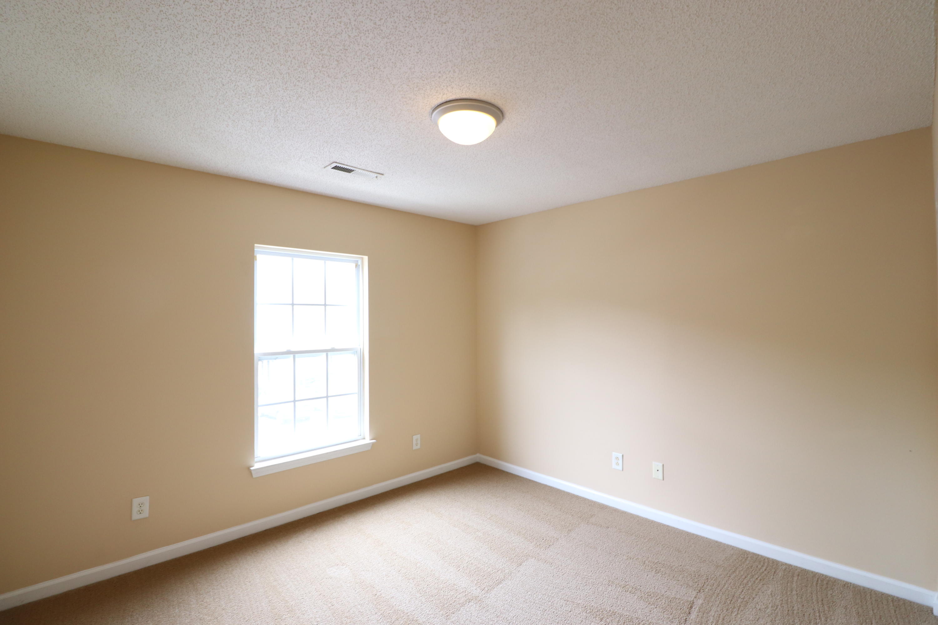 285 Brookshire Road Goose Creek, SC 29445 - Photo 19 of 23 IMG_9272