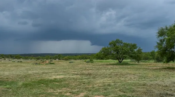 a view of a field with an trees