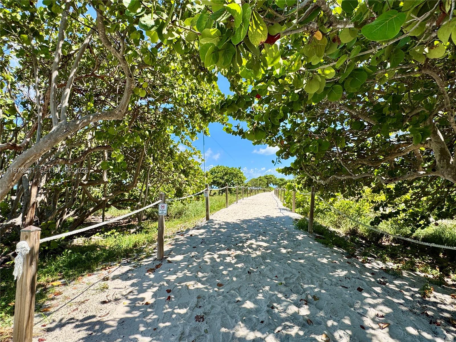9225 Collins Avenue, Unit 1010 Surfside, FL 33154 - Photo 12 of 26 walking path