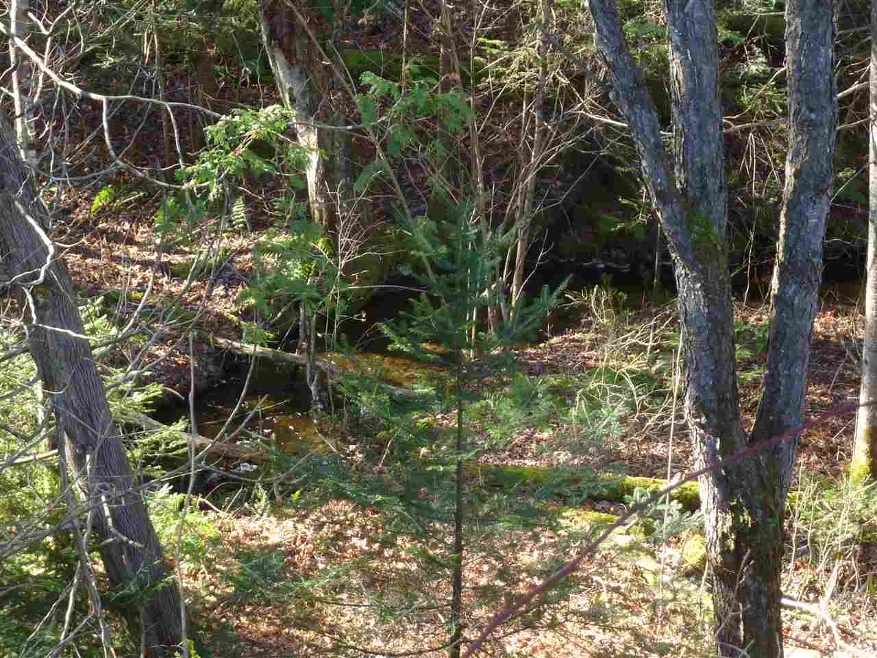 2570 East Haven Road Brighton, VT 05846 - Photo 34 of 37 Gallery Image 34