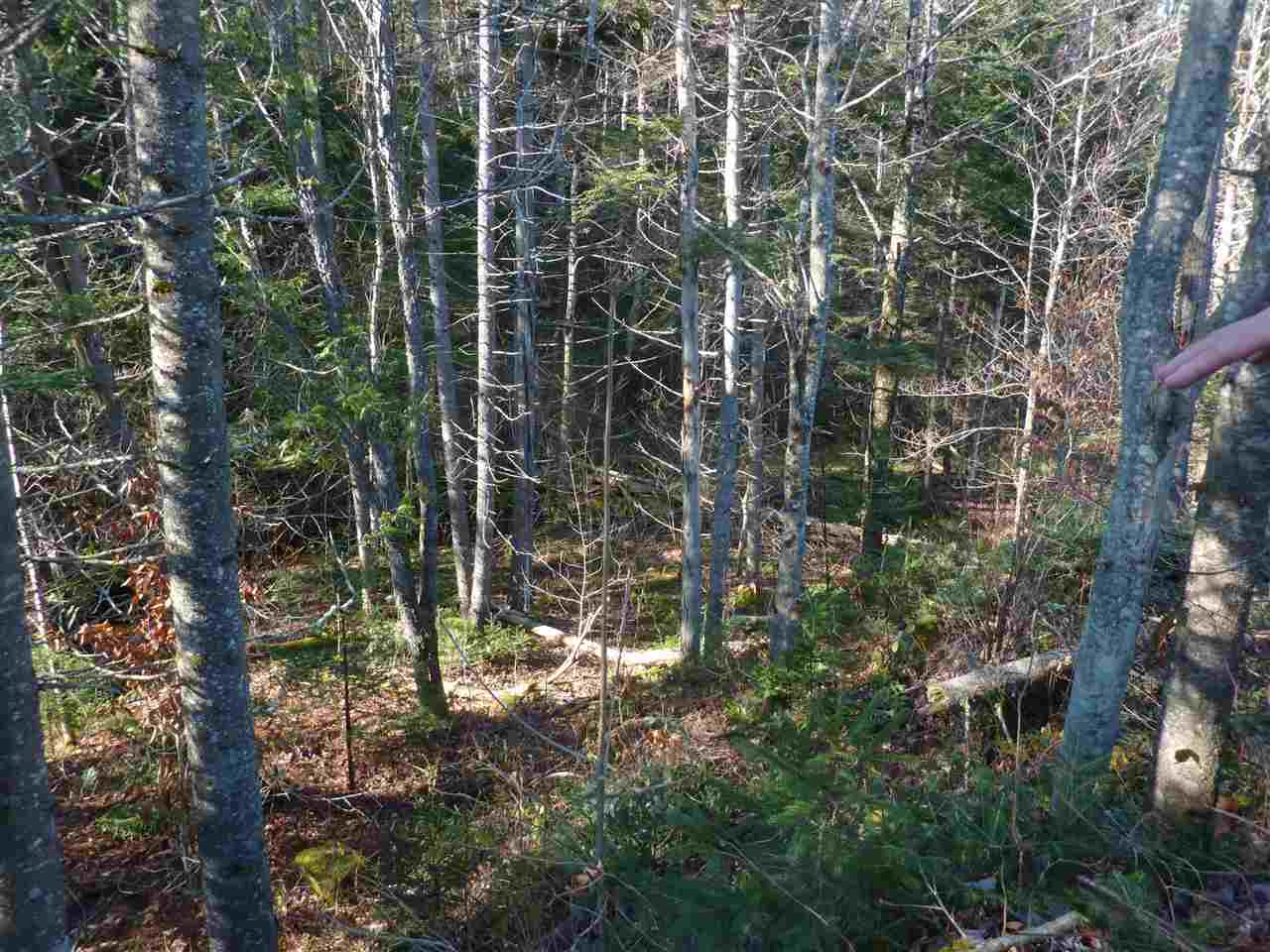 2570 East Haven Road Brighton, VT 05846 - Photo 35 of 37 Gallery Image 35