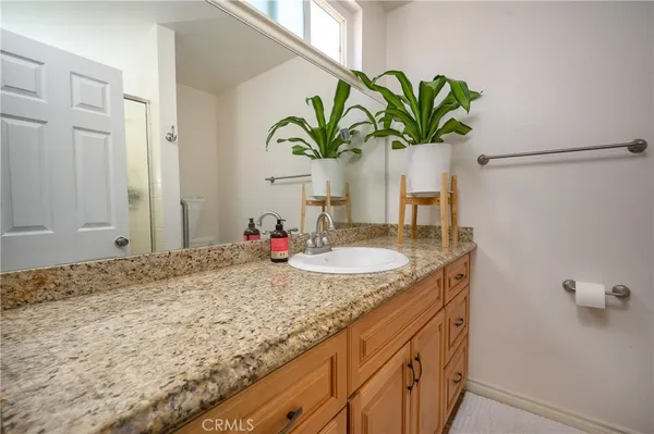 a bathroom with a granite countertop sink a potted plant and a shower