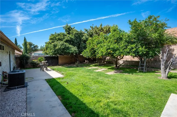 a view of a backyard with potted plants and a large tree