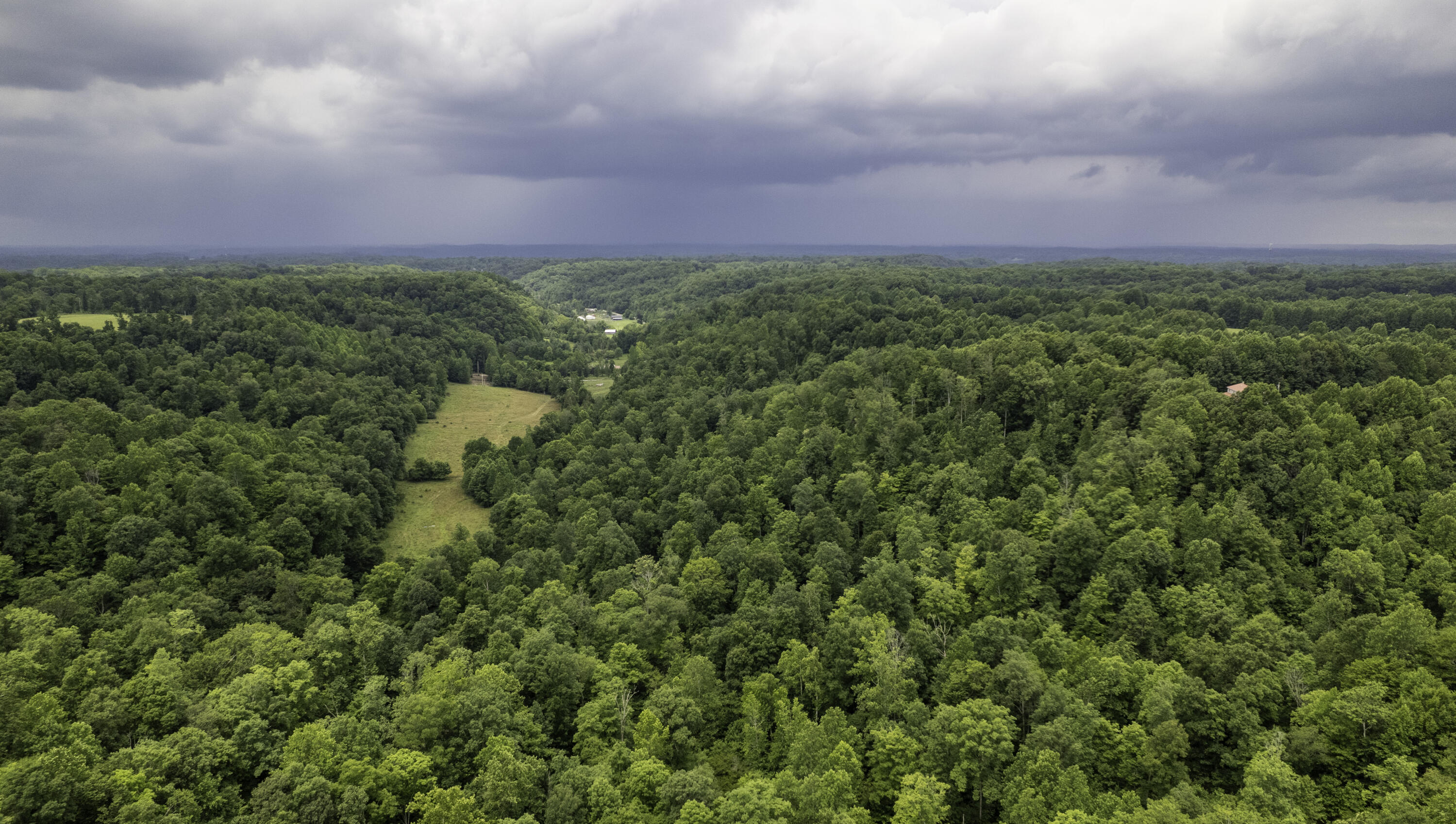 2000 Gosser Ridge Road Liberty, KY 42539 - Photo 15 of 33 DJI_0030