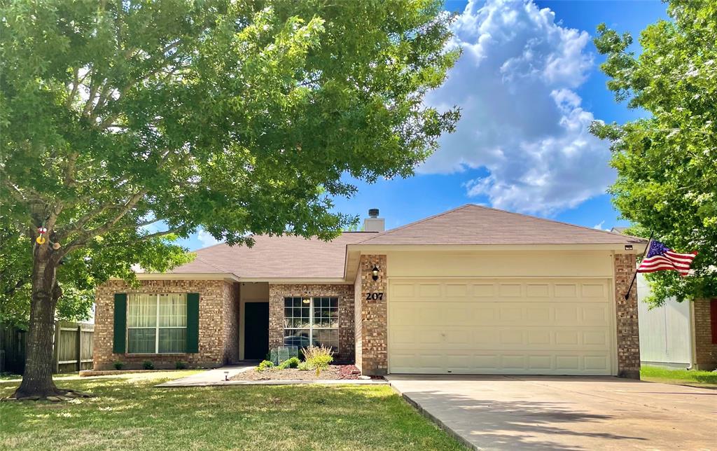 207 Kates Way Hutto, TX 78634 - Photo 1 of 24 Brick-front residence featuring a two-car garage, mature trees, and a concrete driveway