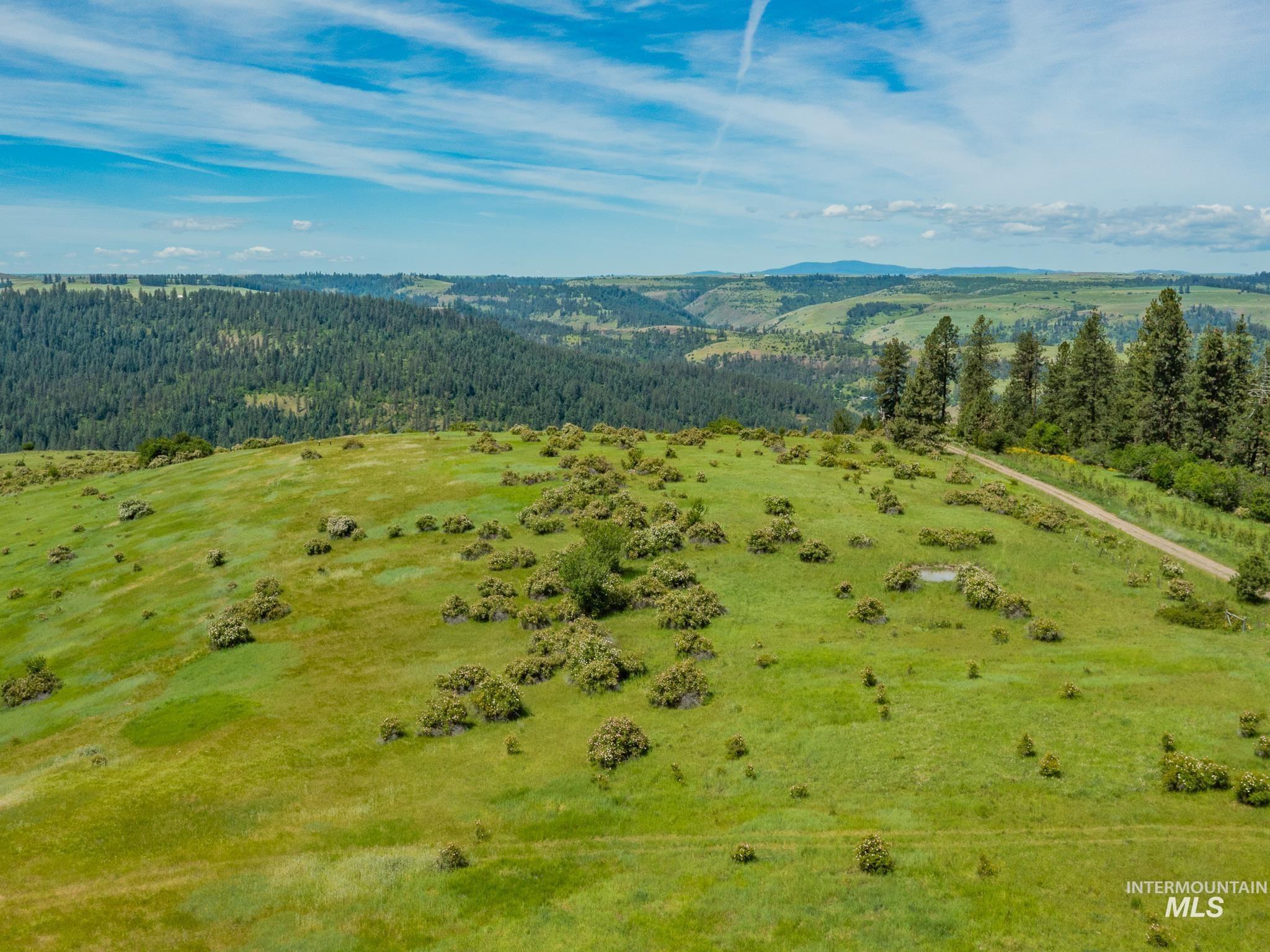 Tbd Brotnov Road Stites, ID 83552 - Photo 10 of 27 Gallery Image 10