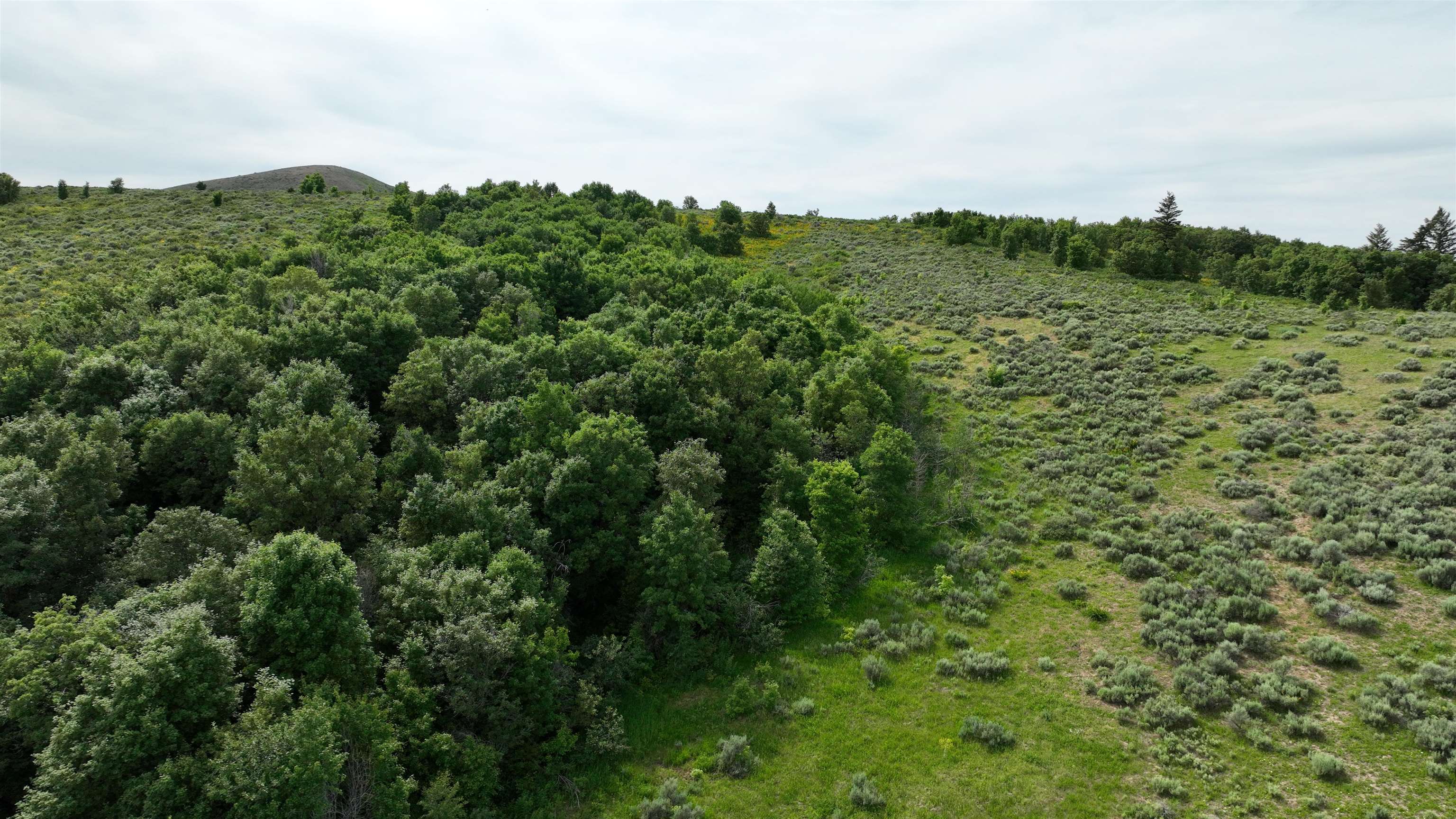 West Buckskin Road Pocatello, ID 83201 - Photo 35 of 41 Gallery Image 35