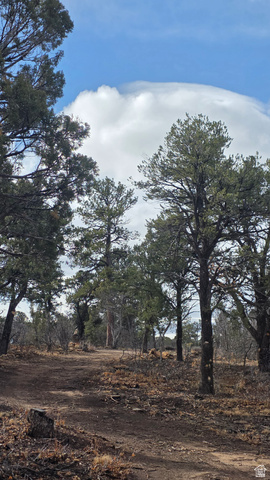 95 Wray Mesa Road, Unit 10 La Sal, UT 84530 - Photo 7 of 14 View of local wilderness