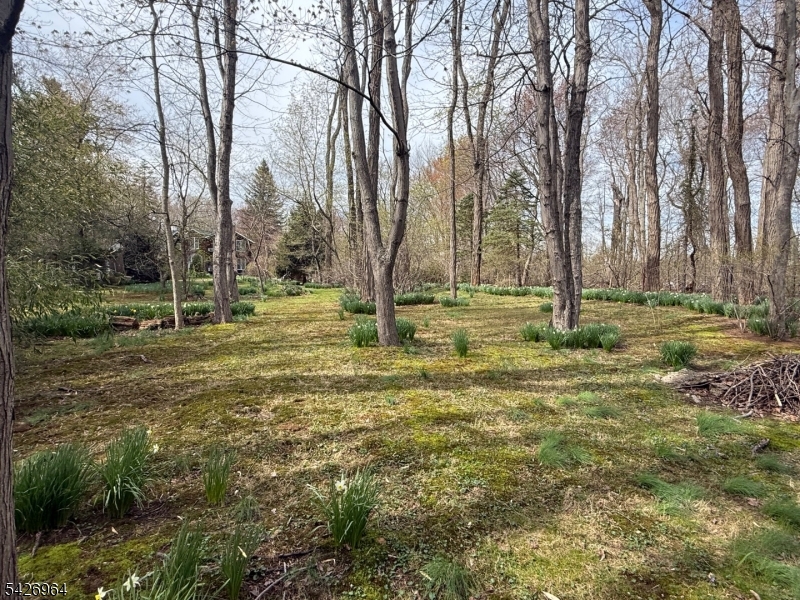 691 Ridgedale Avenue East Hanover, NJ 07936 - Photo 45 of 49 a backyard of apartments with large trees