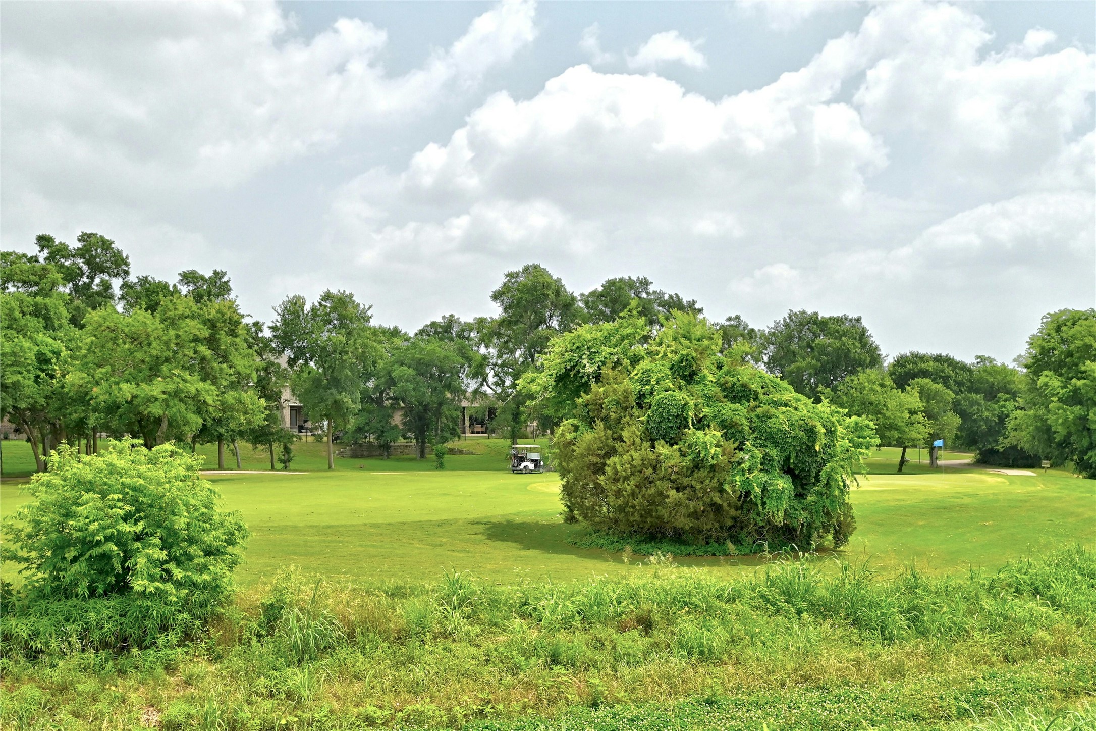 1384 Harwell Loop Kyle, TX 78640 - Photo 26 of 27 a view of a grassy field with trees in the background