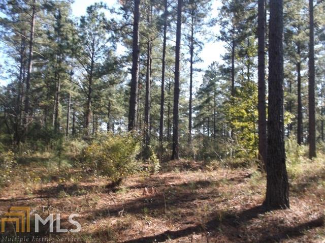 0 Jessie Lynn Road Collins, GA 30421 - Photo 1 of 1 a view of forest