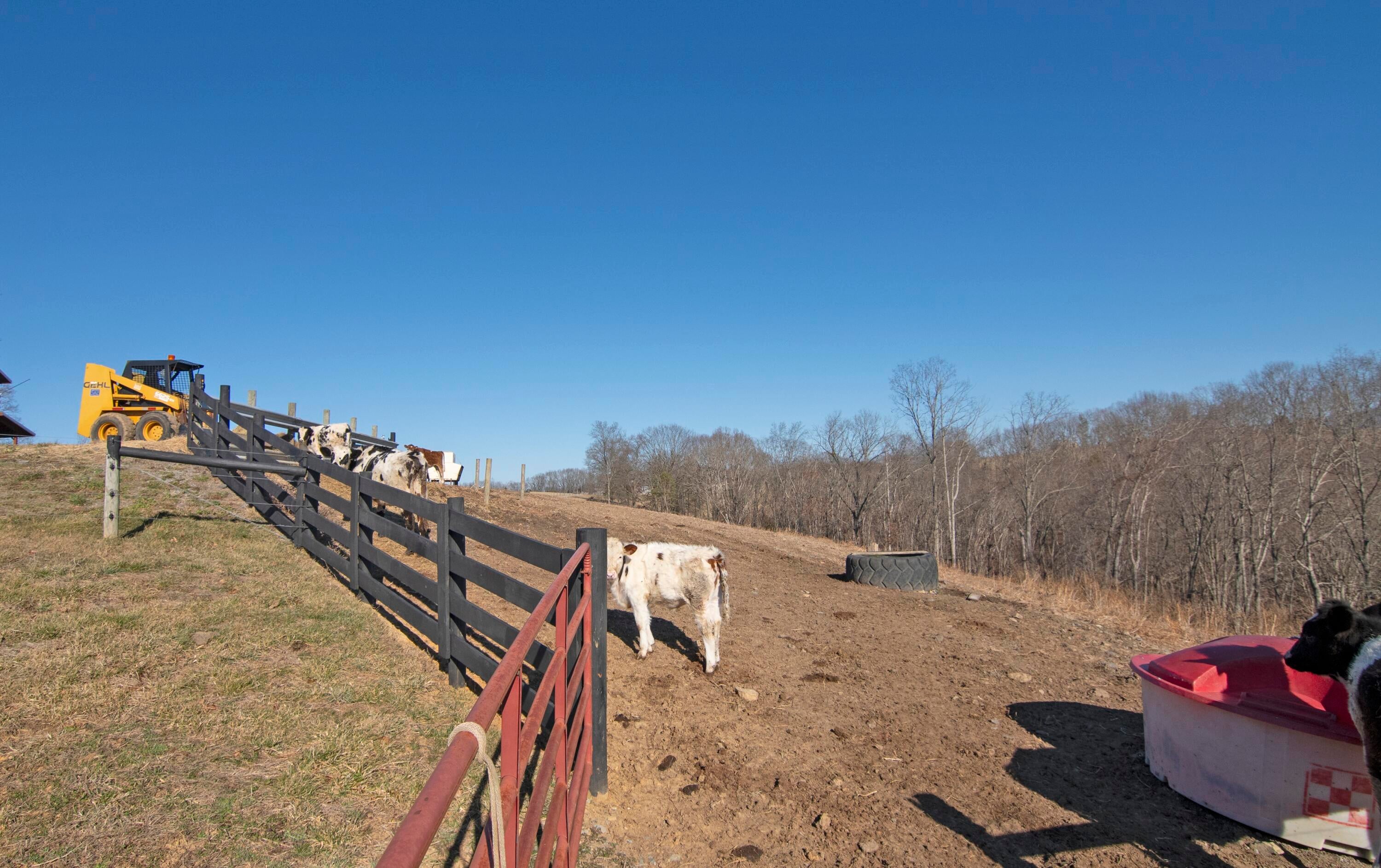 656 Miller Farm Road Peterstown, WV 24963 - Photo 128 of 156 Miller Farm Rd