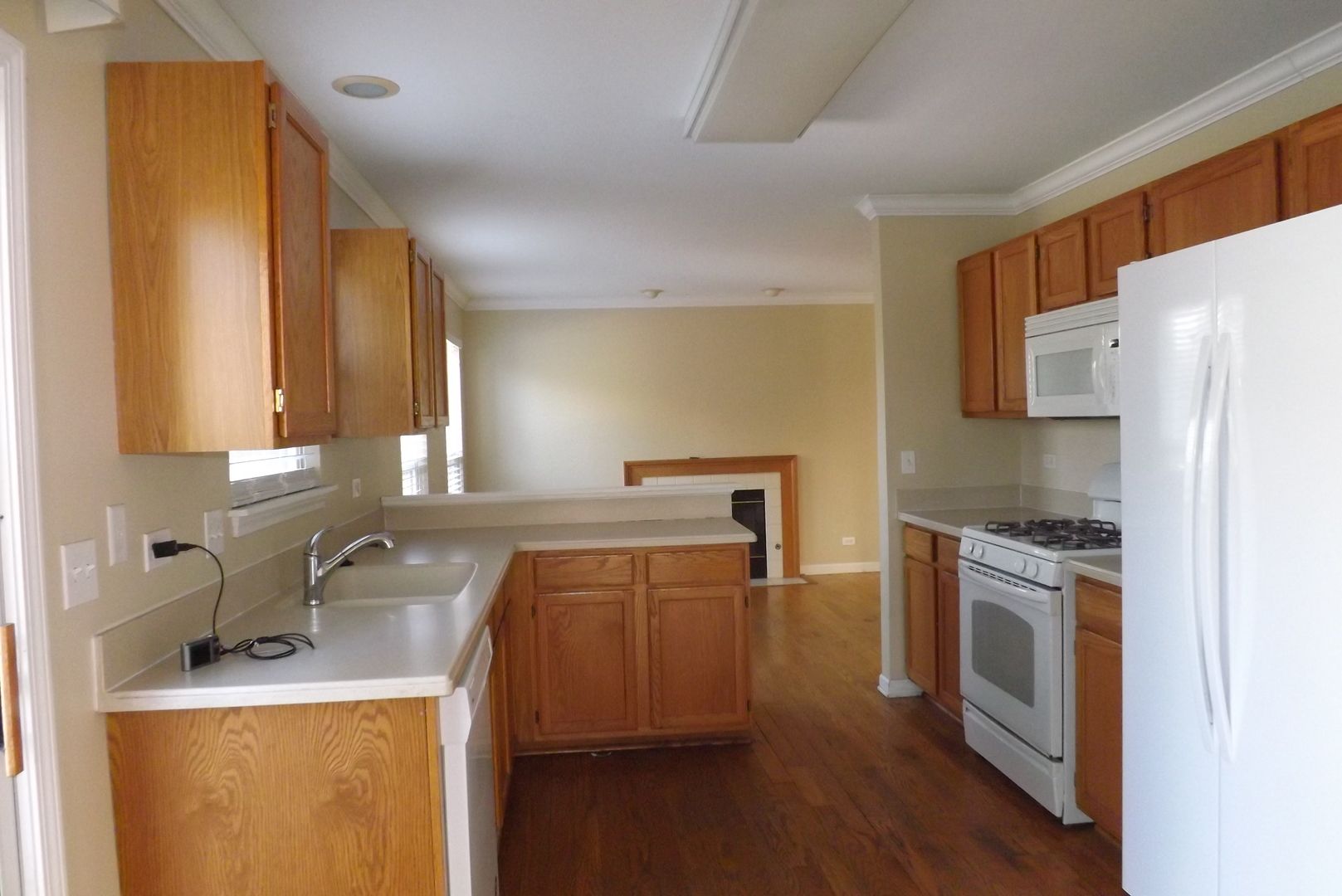 1060 Huron Court Elgin, IL 60120 - Photo 4 of 11