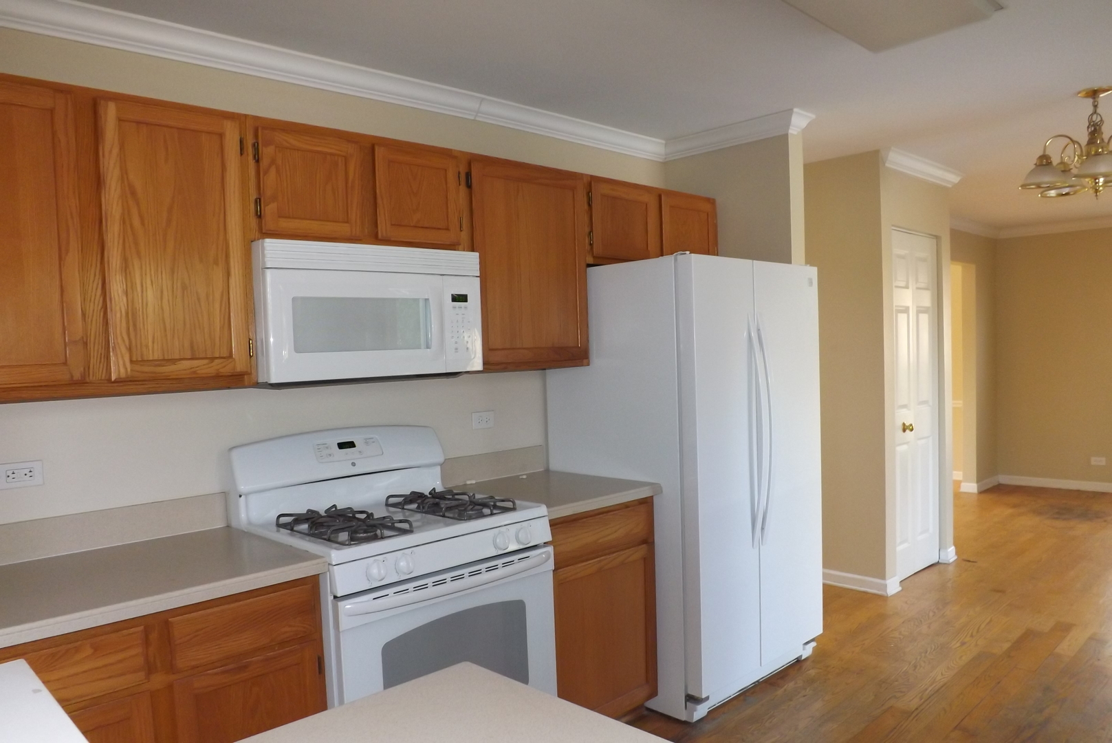 1060 Huron Court Elgin, IL 60120 - Photo 6 of 11