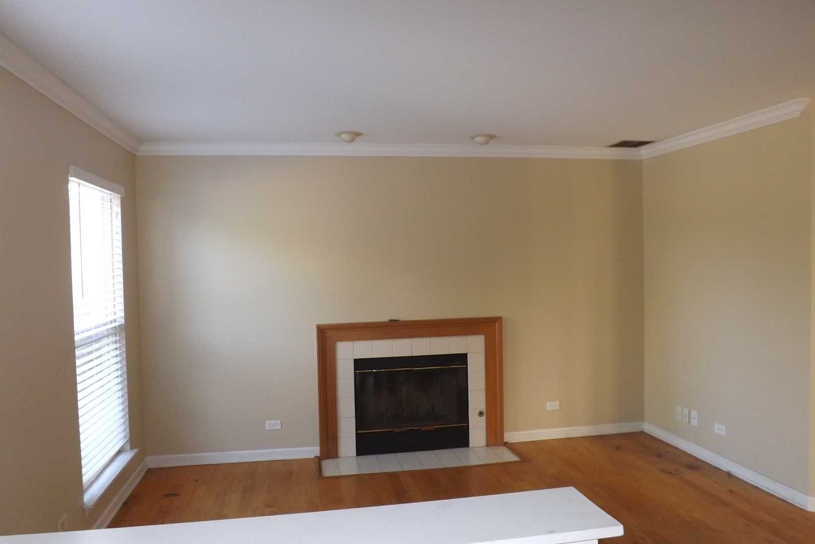 1060 Huron Court Elgin, IL 60120 - Photo 7 of 11