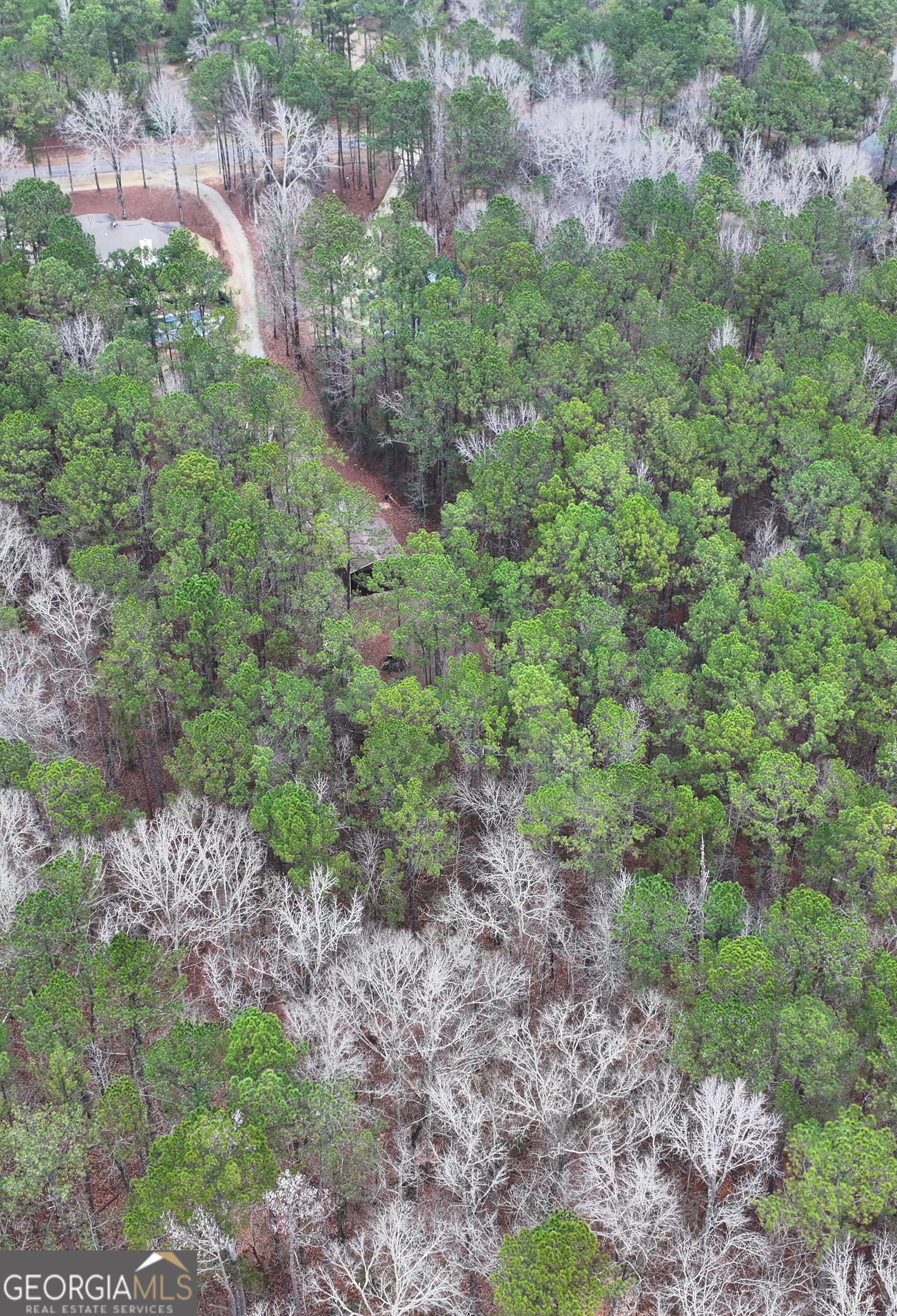 292 Blue Bird Trail Fortson, GA 31808 - Photo 45 of 45 a view of a large yard with lots of trees